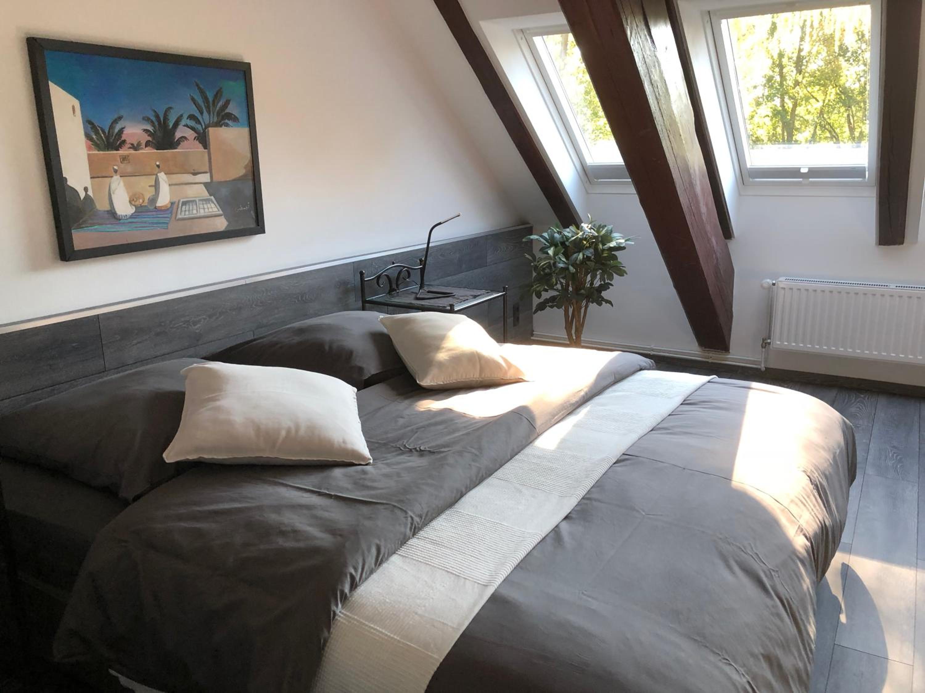 Superior Apartment