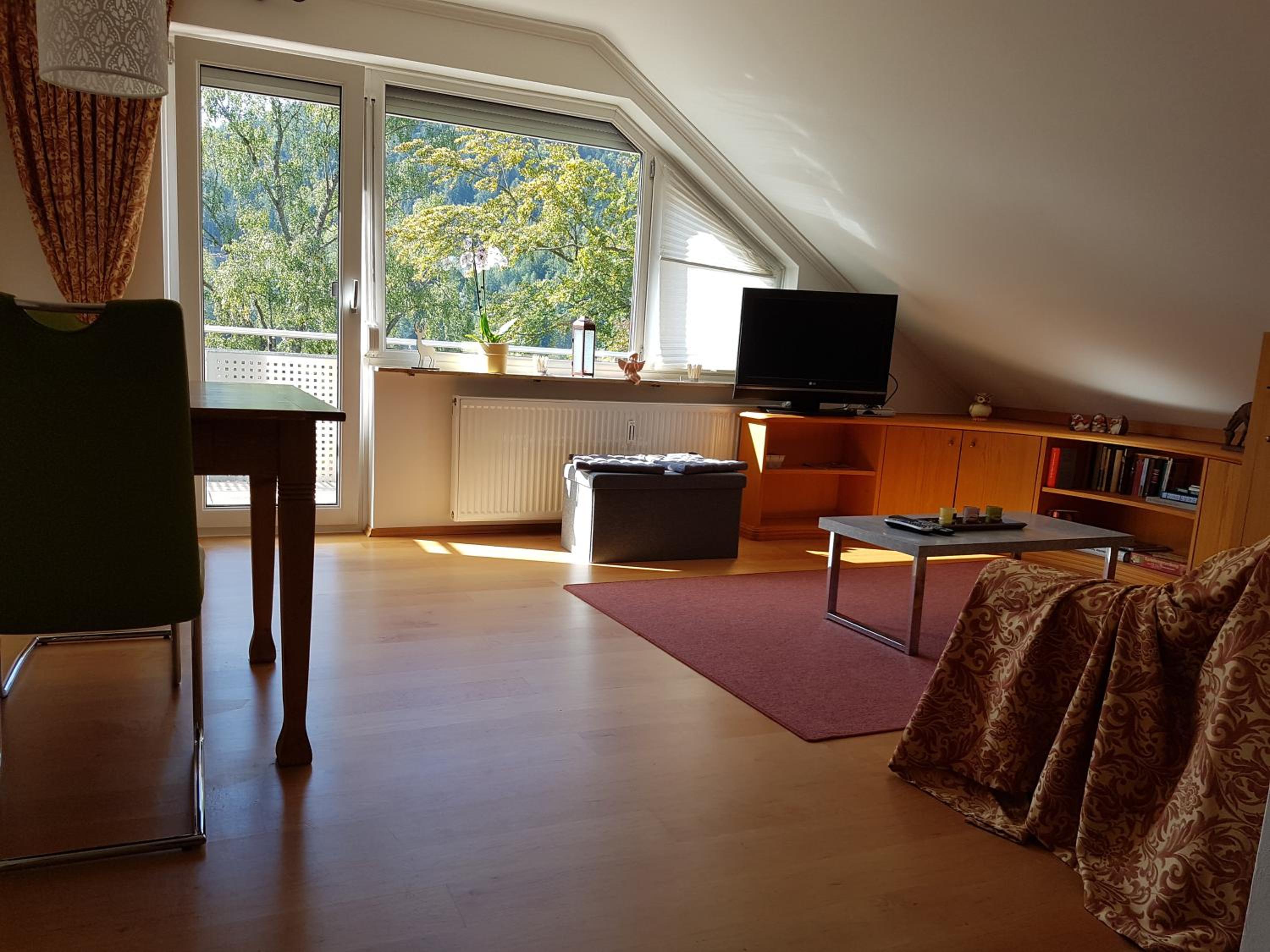 Apartment with Mountain View photo 1