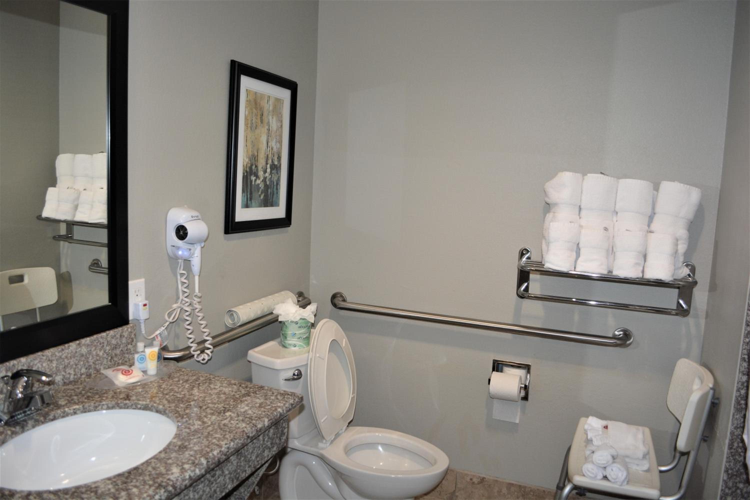 King Suite - Disability Access/Non-Smoking - Photo 4