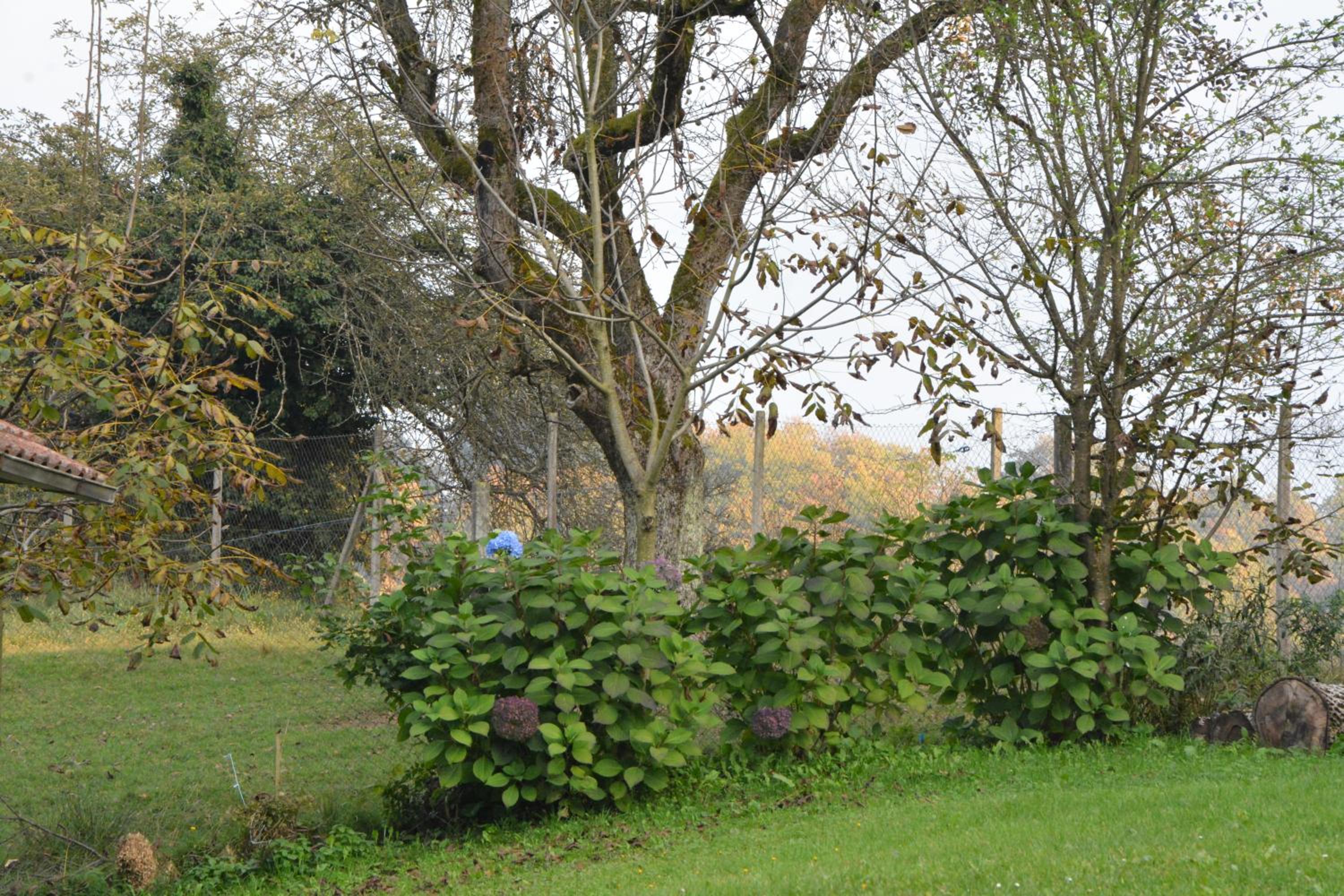 Vacation Home - Photo 86