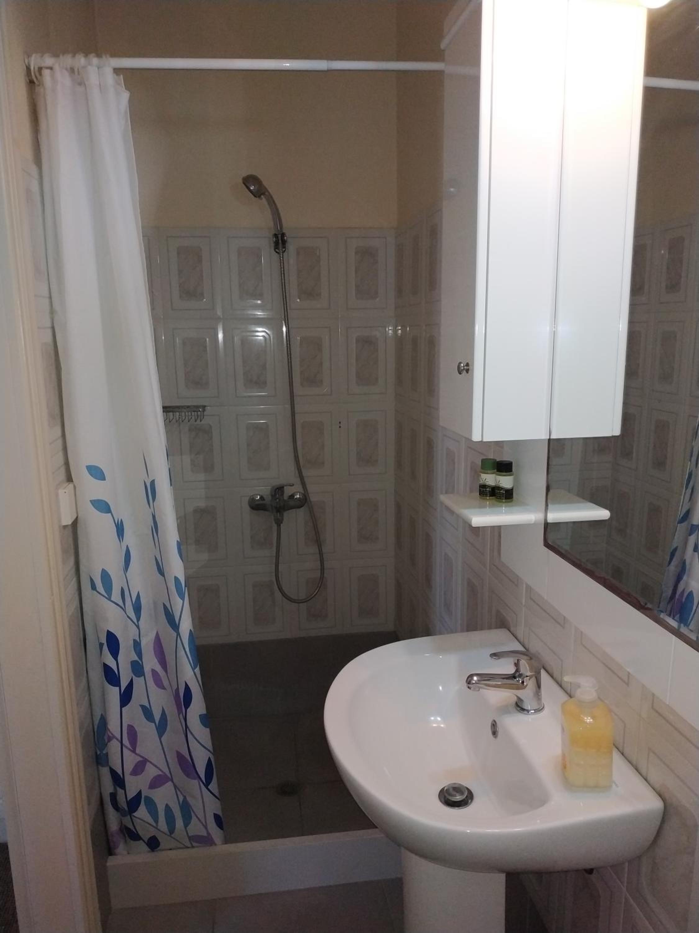 Studio Apartment photo 3