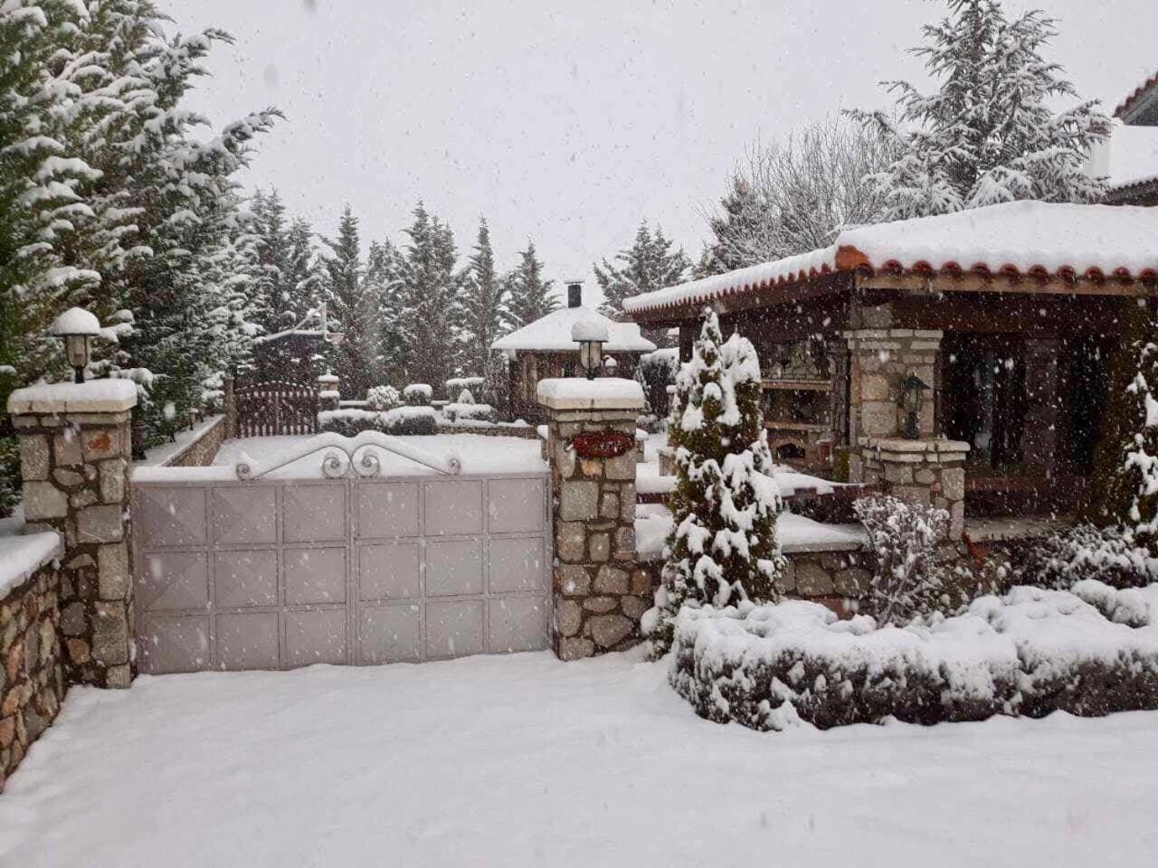 Superior Chalet photo 2