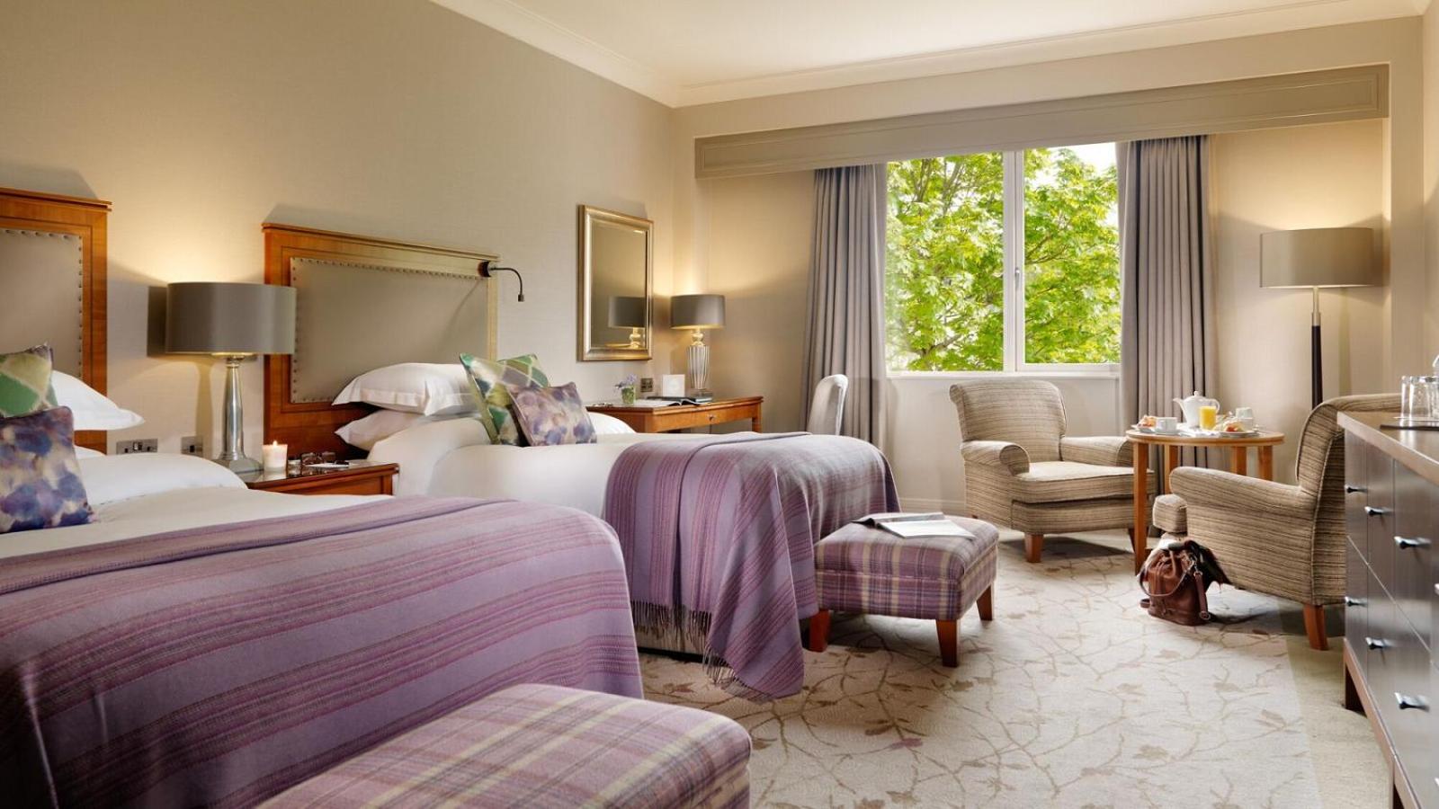 Deluxe Family Room (2 Adults + 2 Children)
