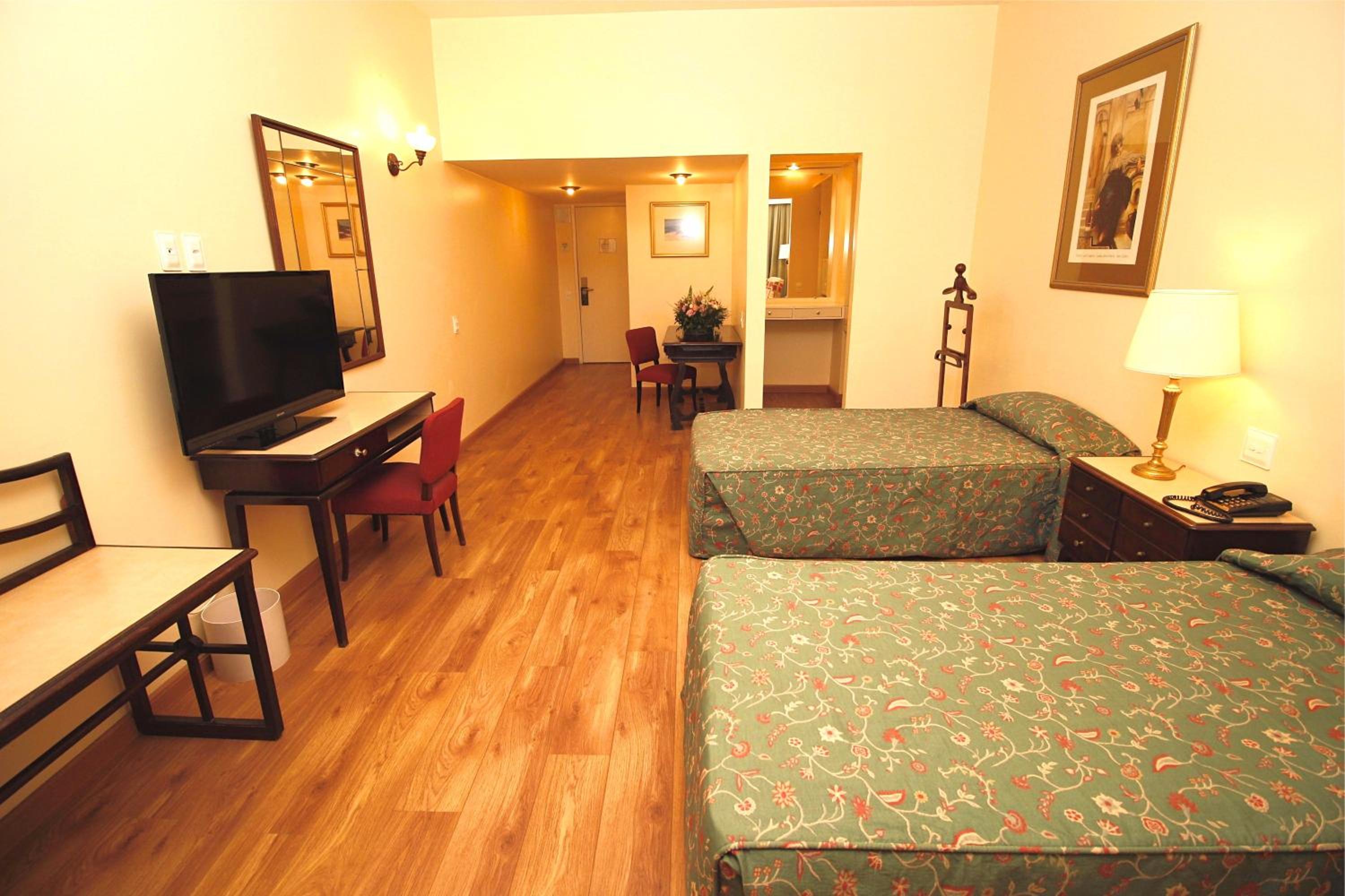 Deluxe Twin Room photo 1