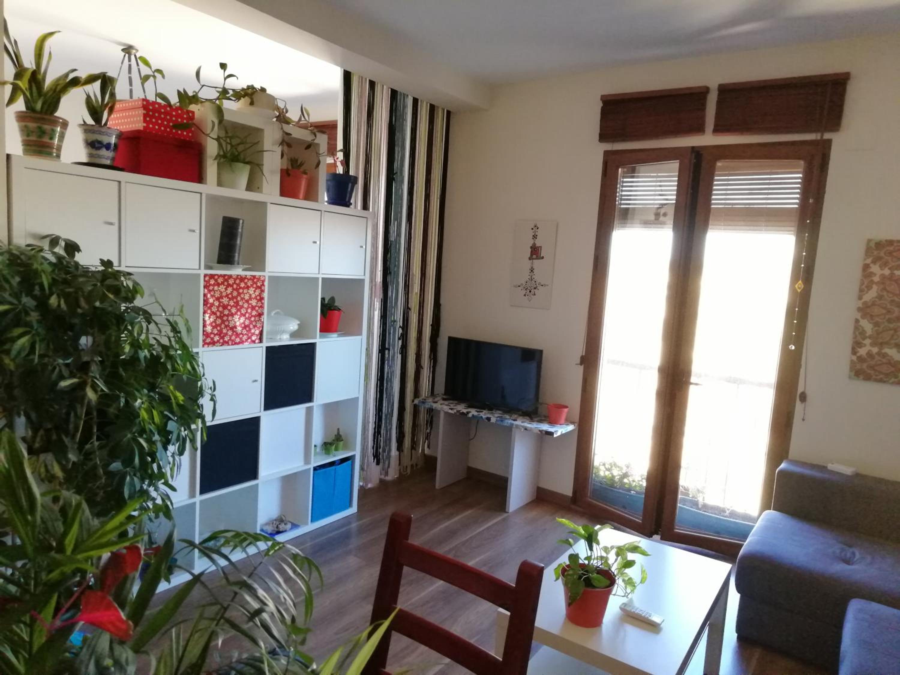 Apartment - Photo 18