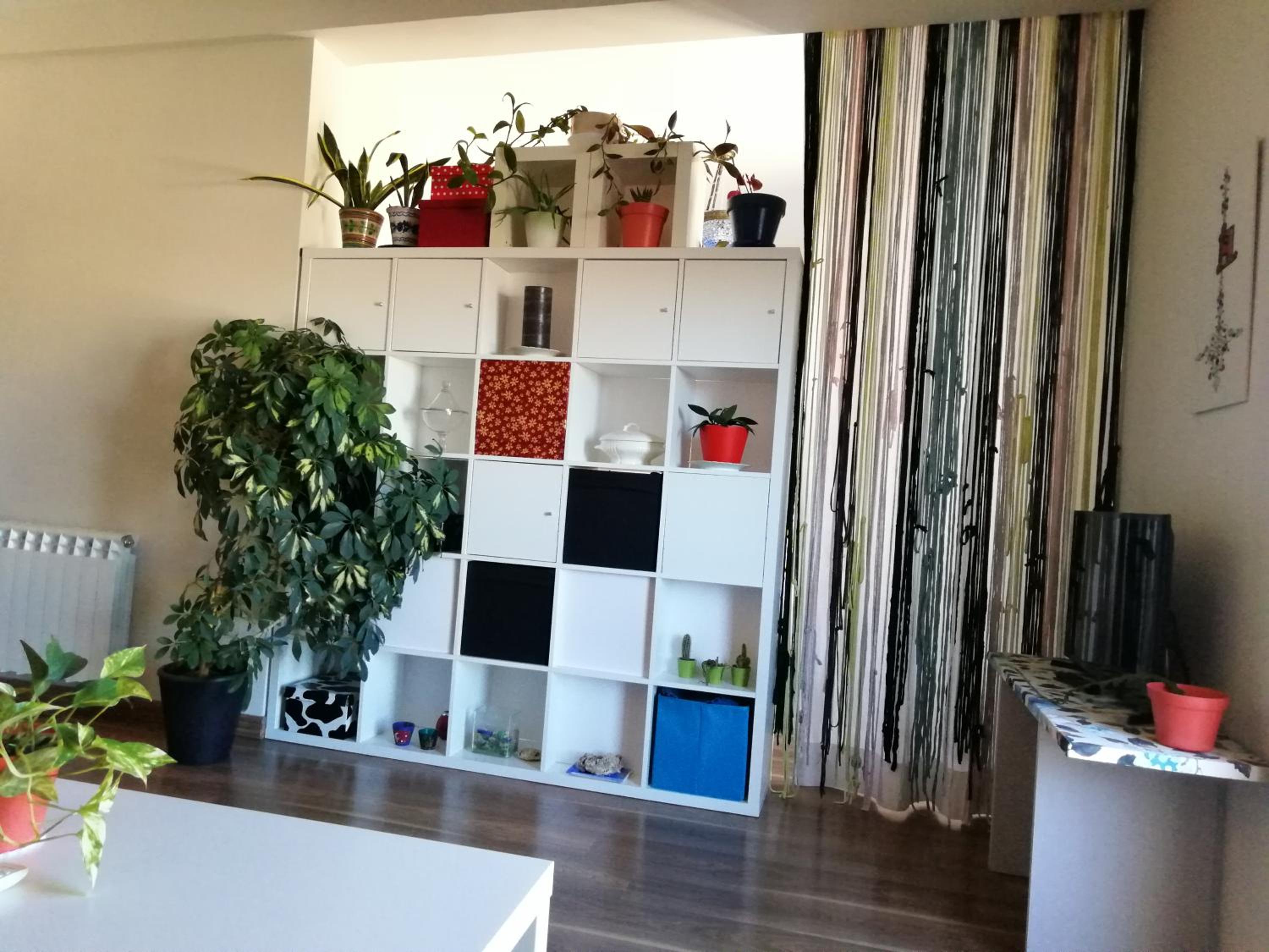 Apartment - Photo 23