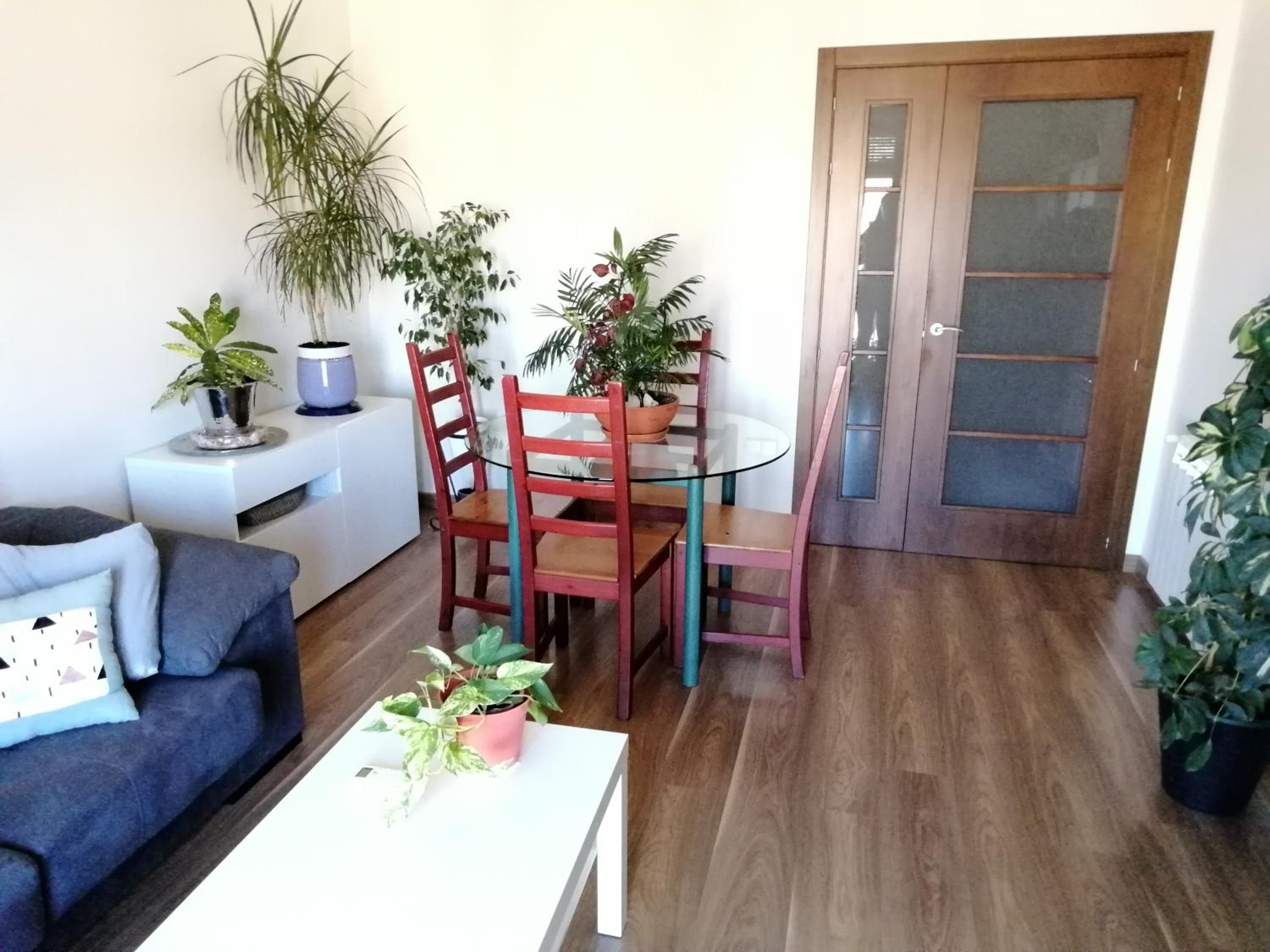Apartment - Photo 2