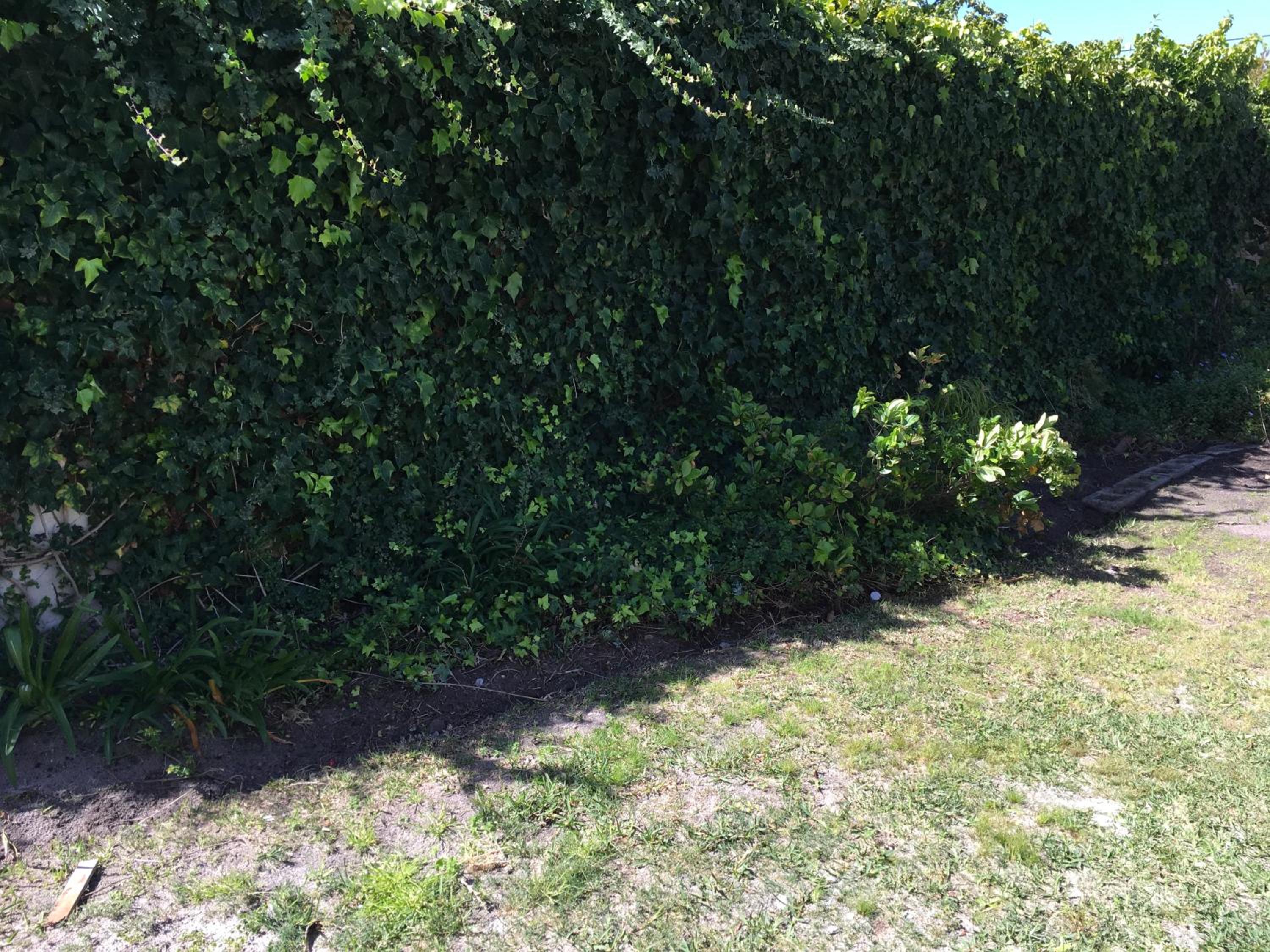 Vacation Home - Photo 10
