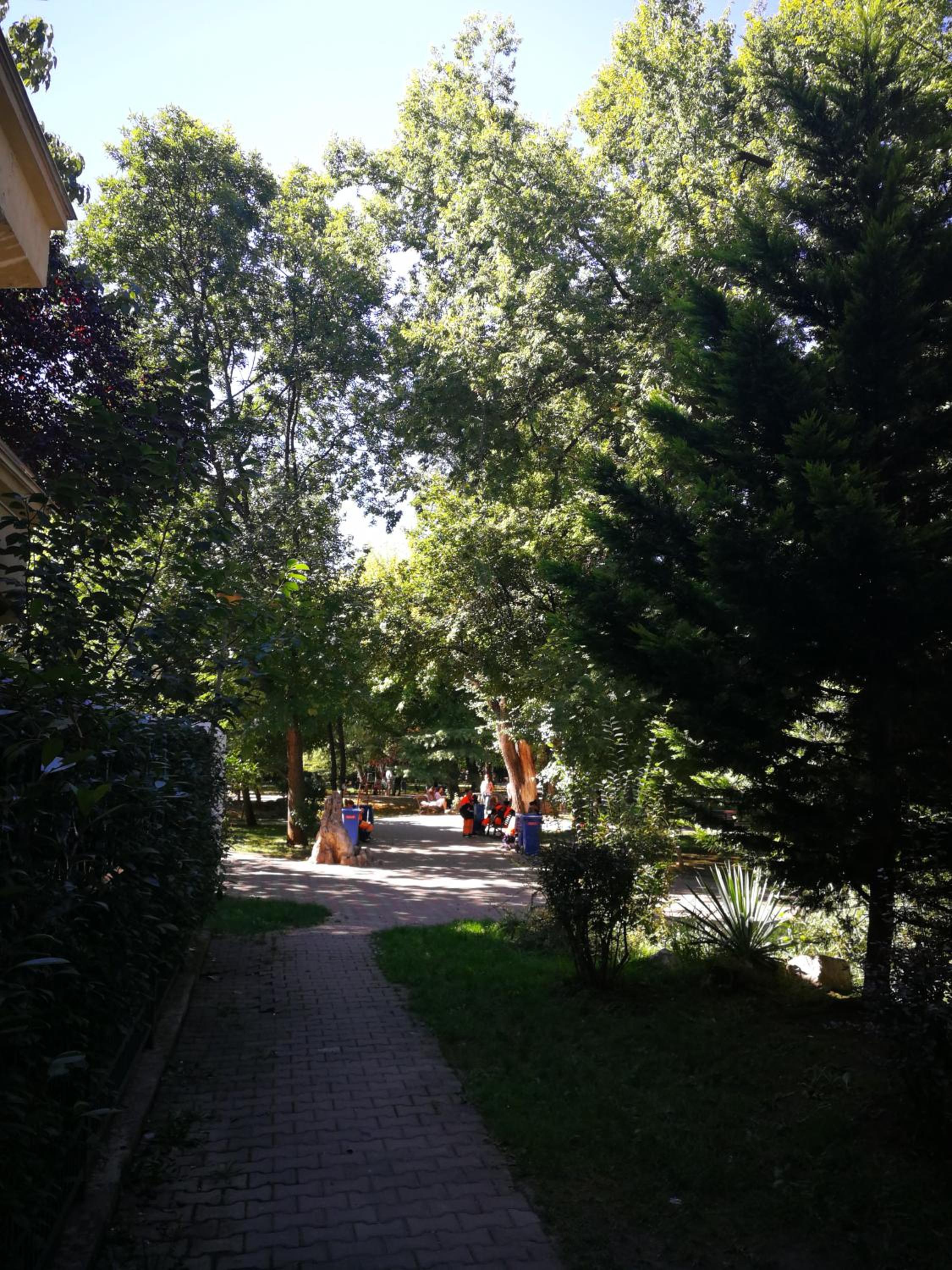 Apartment - Photo 14
