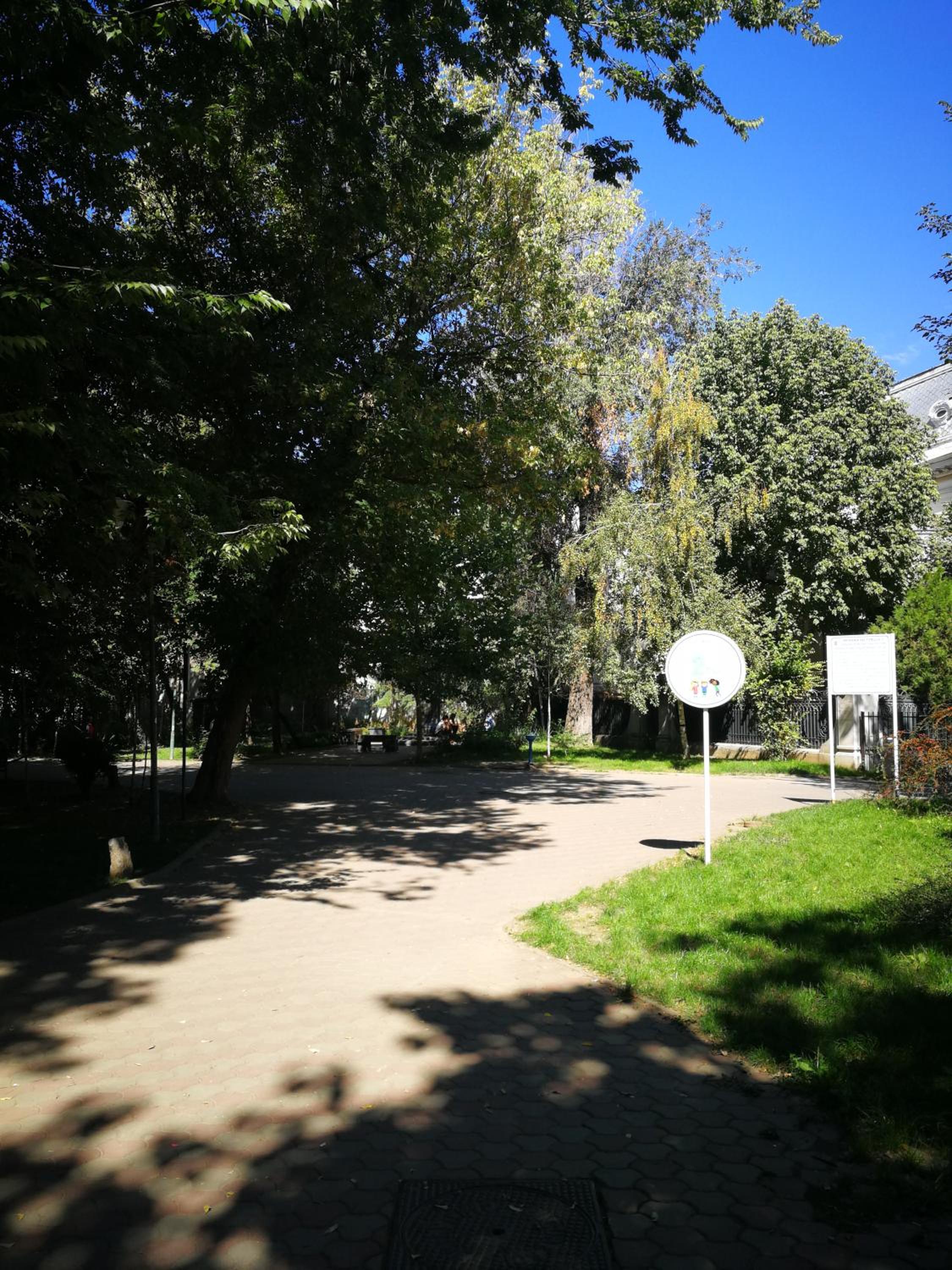 Apartment - Photo 13