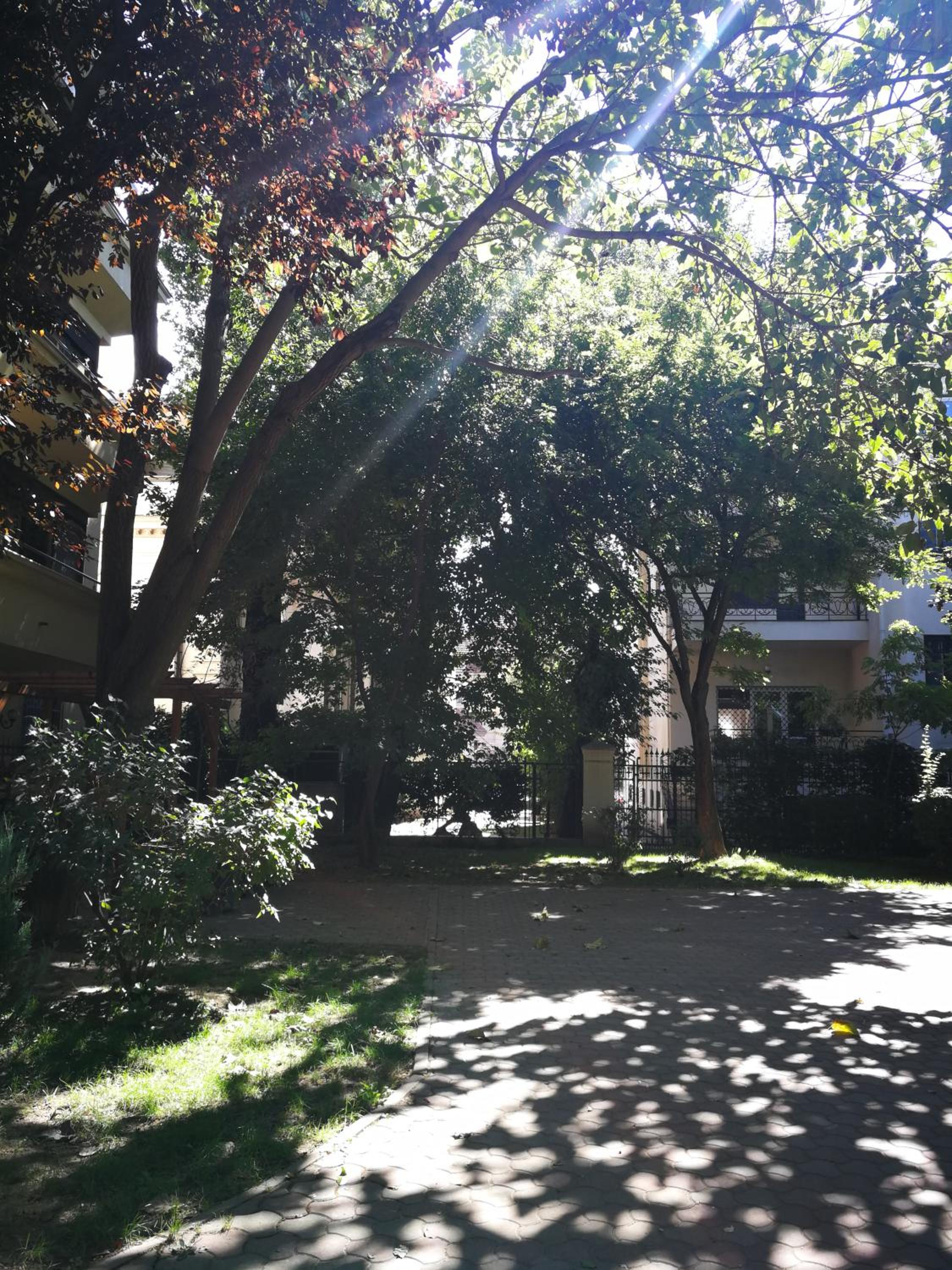 Apartment - Photo 8