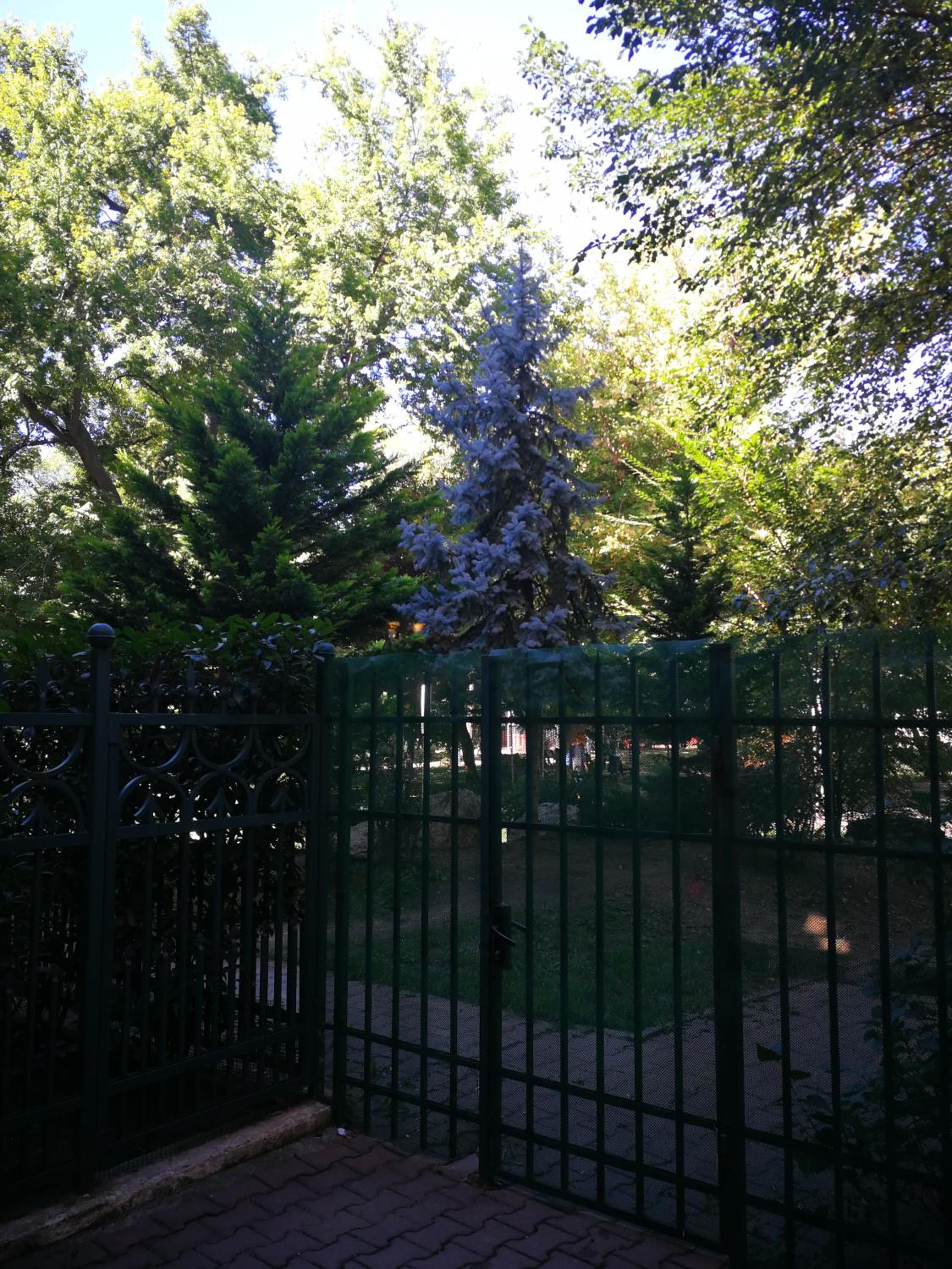 Apartment - Photo 6