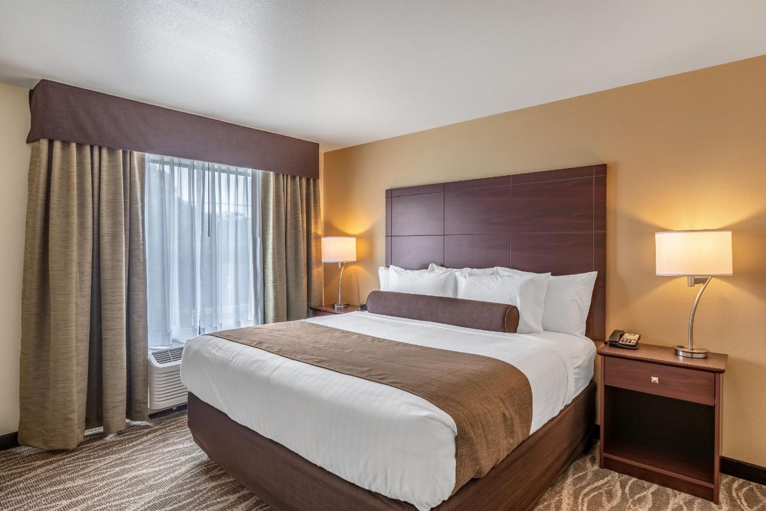 Deluxe Suite photo 3