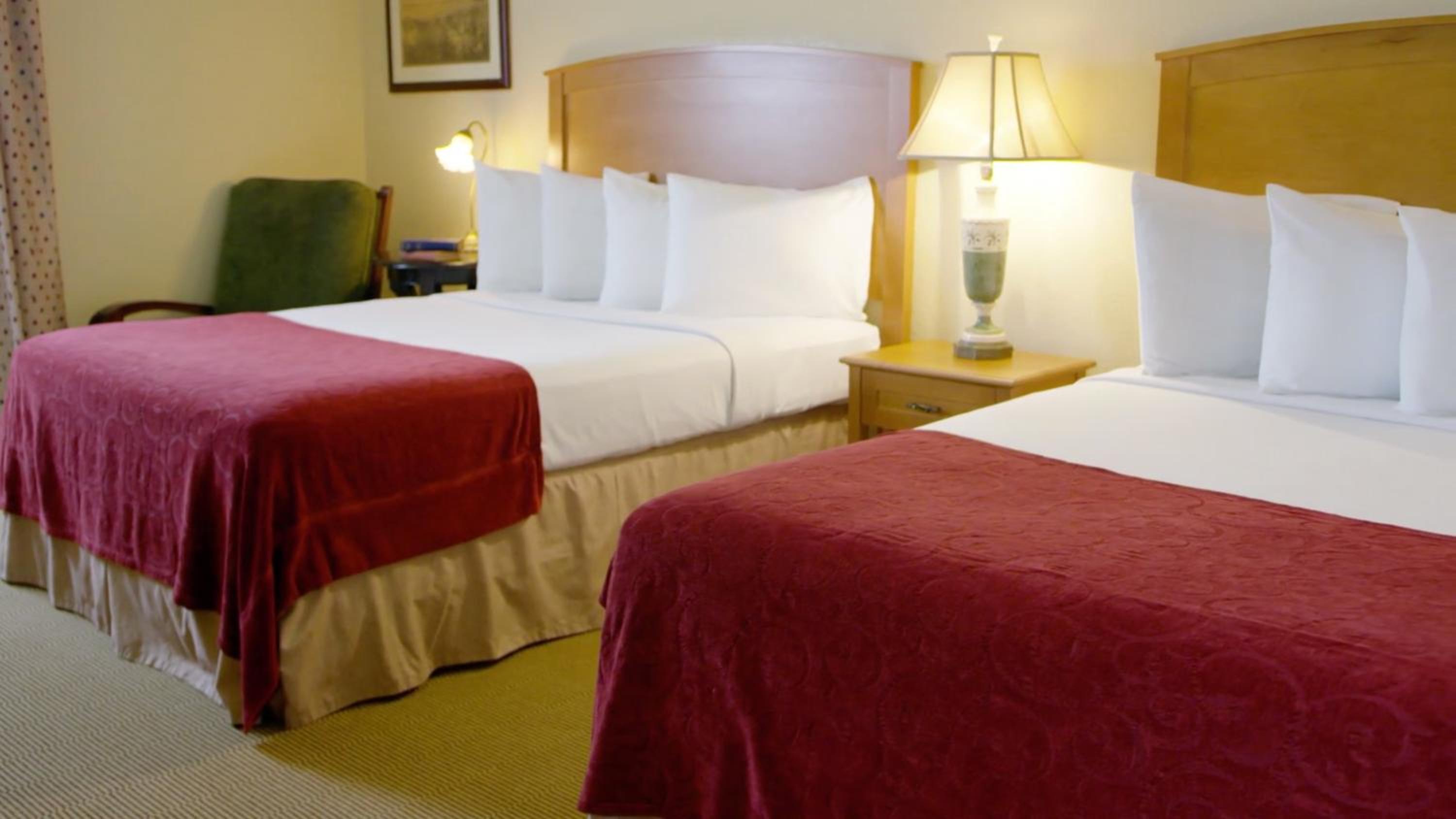 Queen Suite with Two Queen Beds photo 3