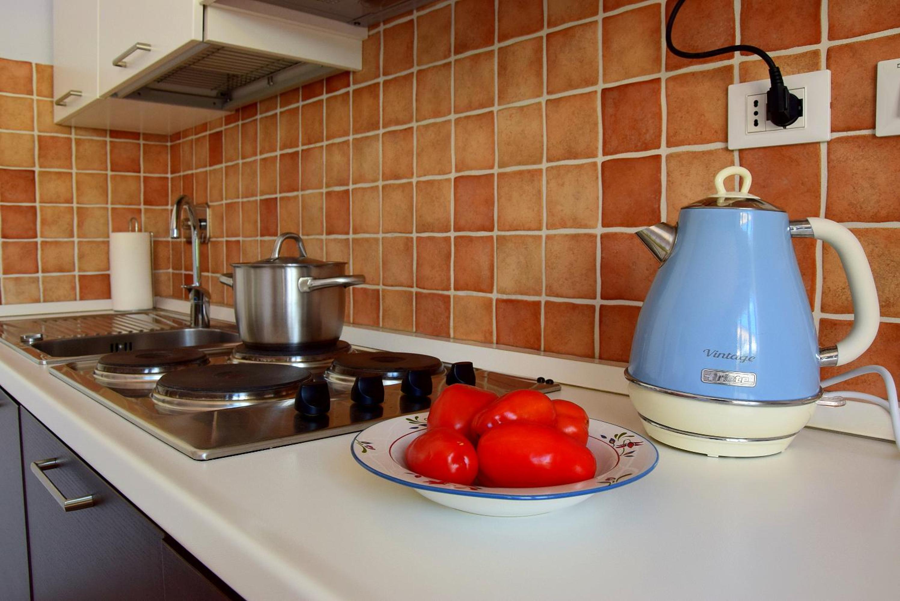 Studio with Terrace photo 3