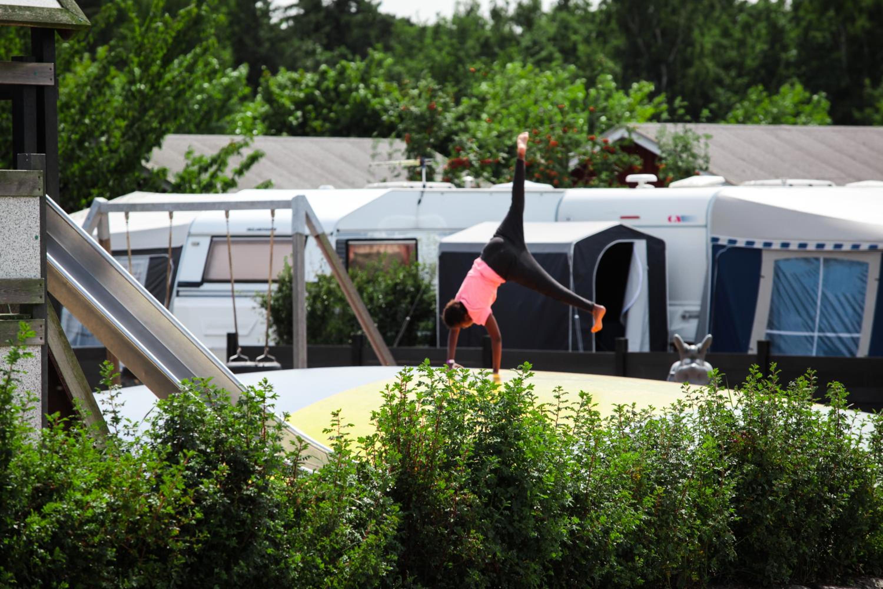 Basic Tent site incl. electricity (bring your own tent 8-25 kwm) photo 3