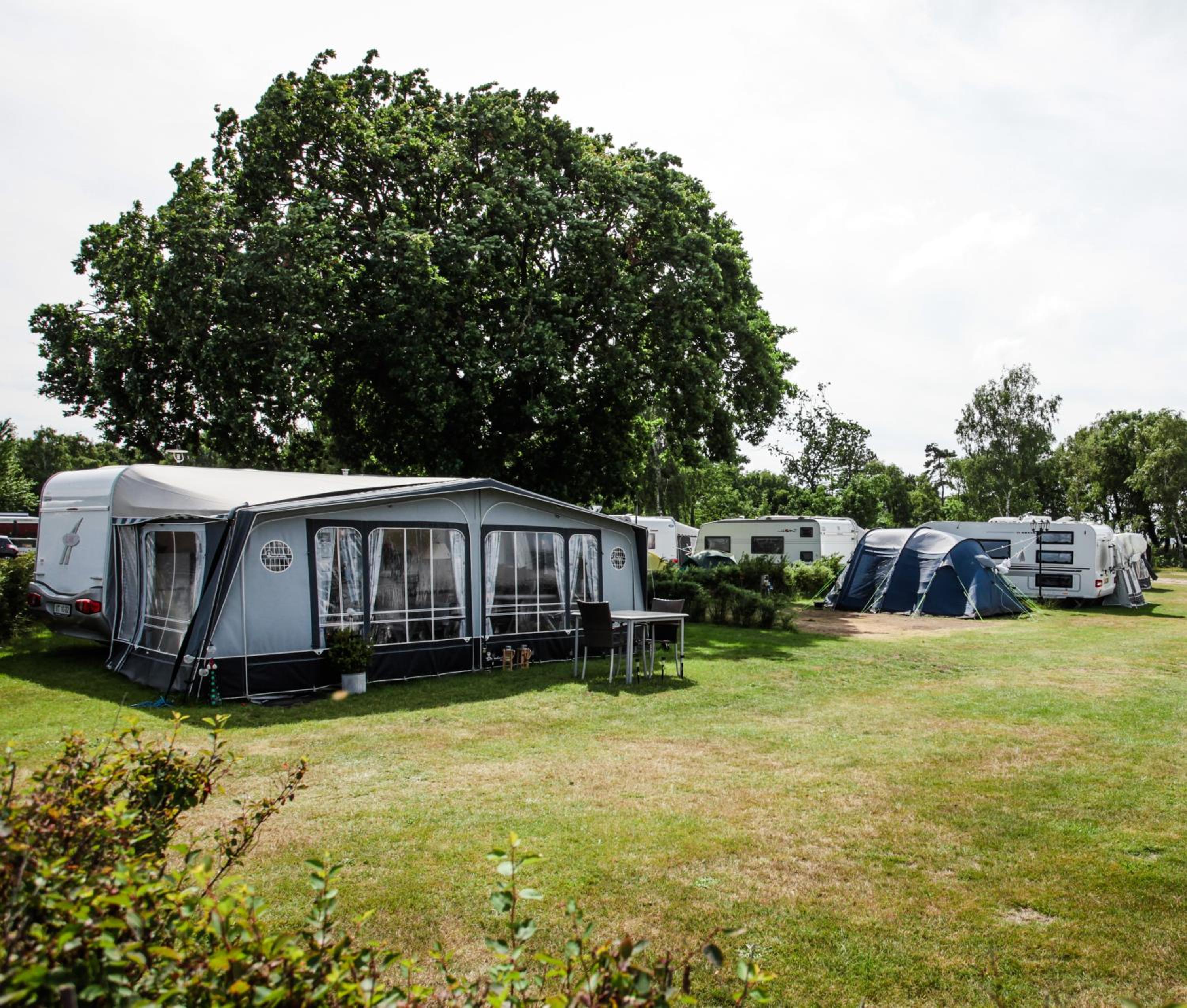 Basic Caravan site incl. electricity (bring your own caravan) photo 3