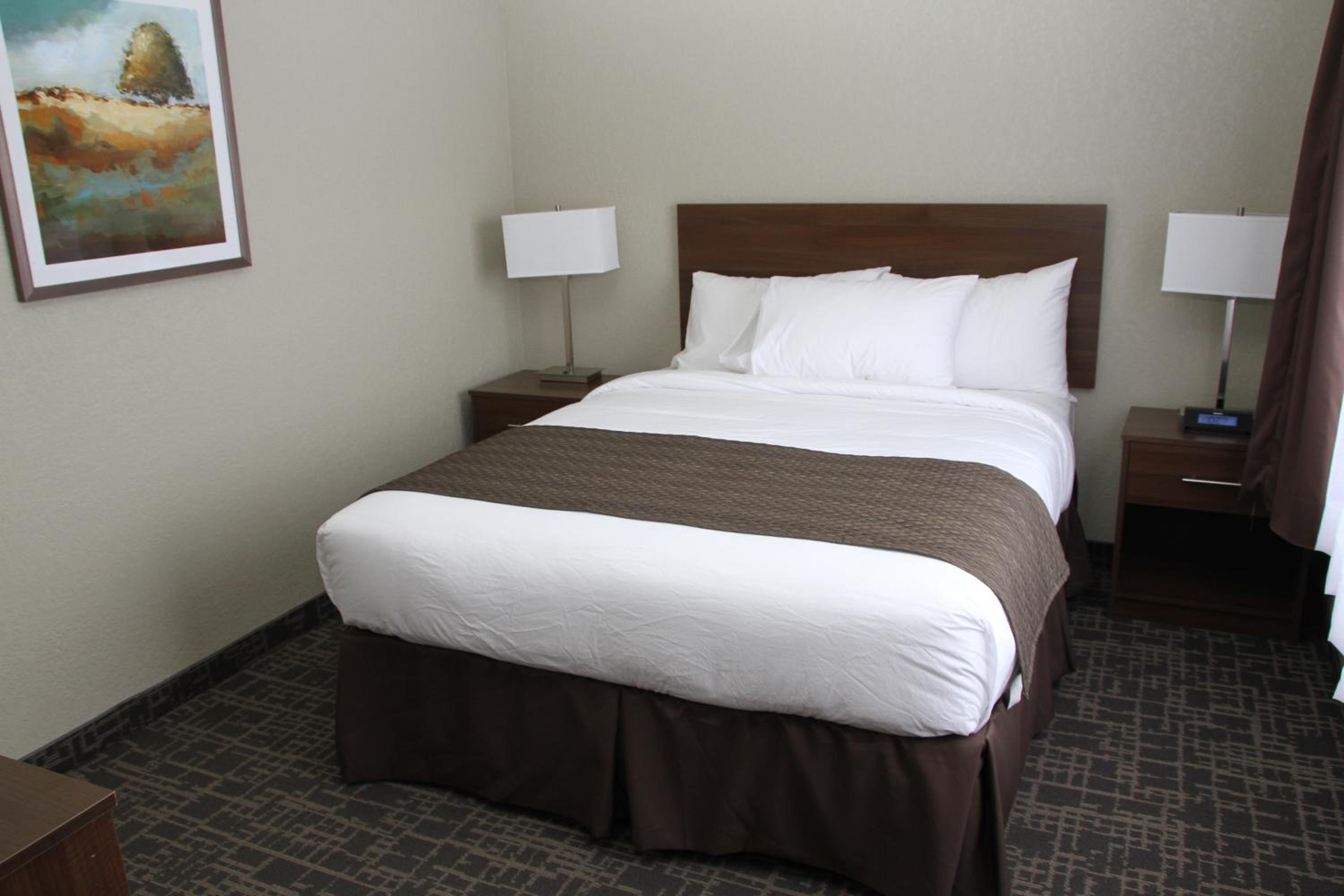 One-Bedroom Suite - Non-Smoking photo 3