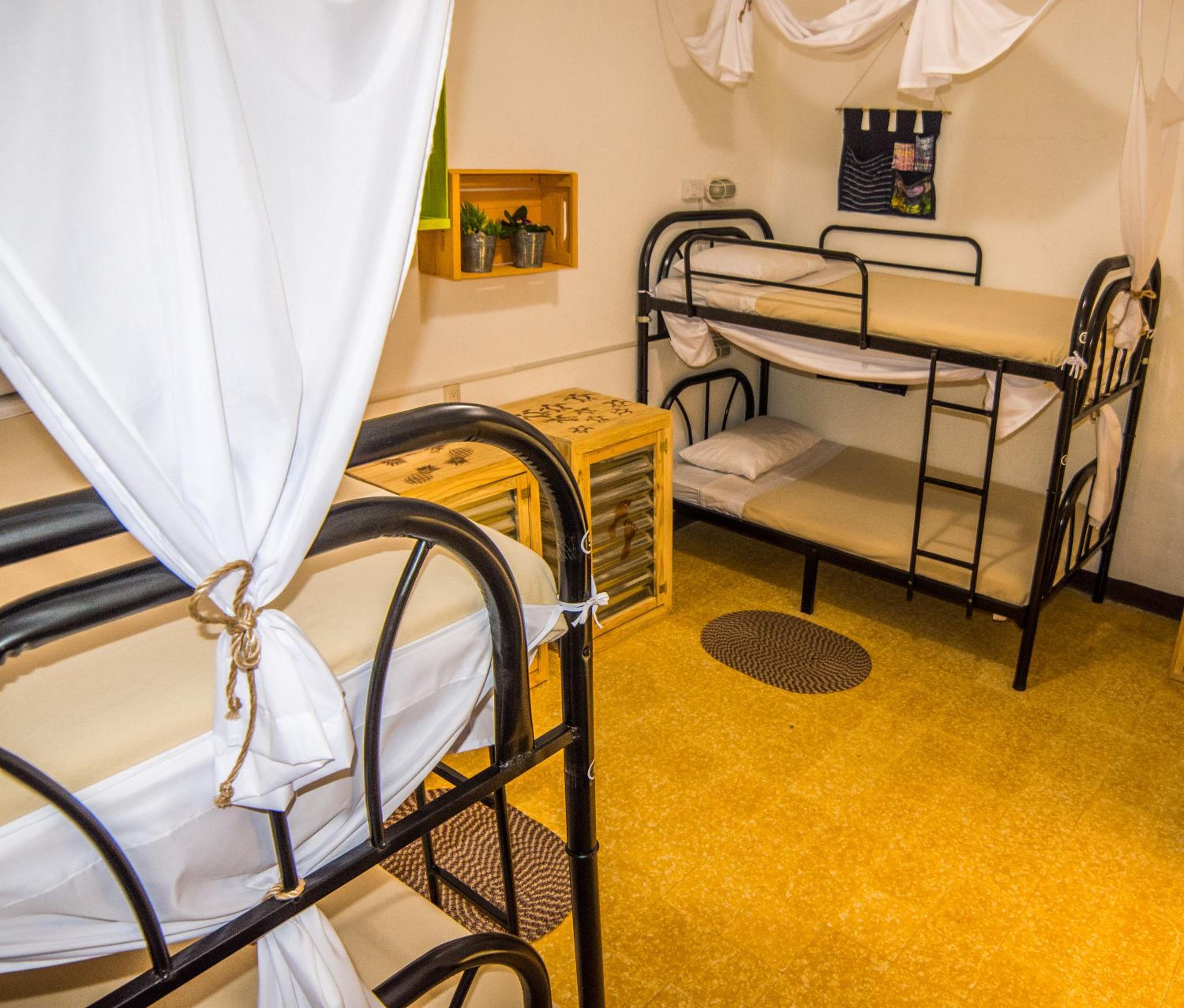 Bed in 4-Bed Mixed Dormitory Room photo 3