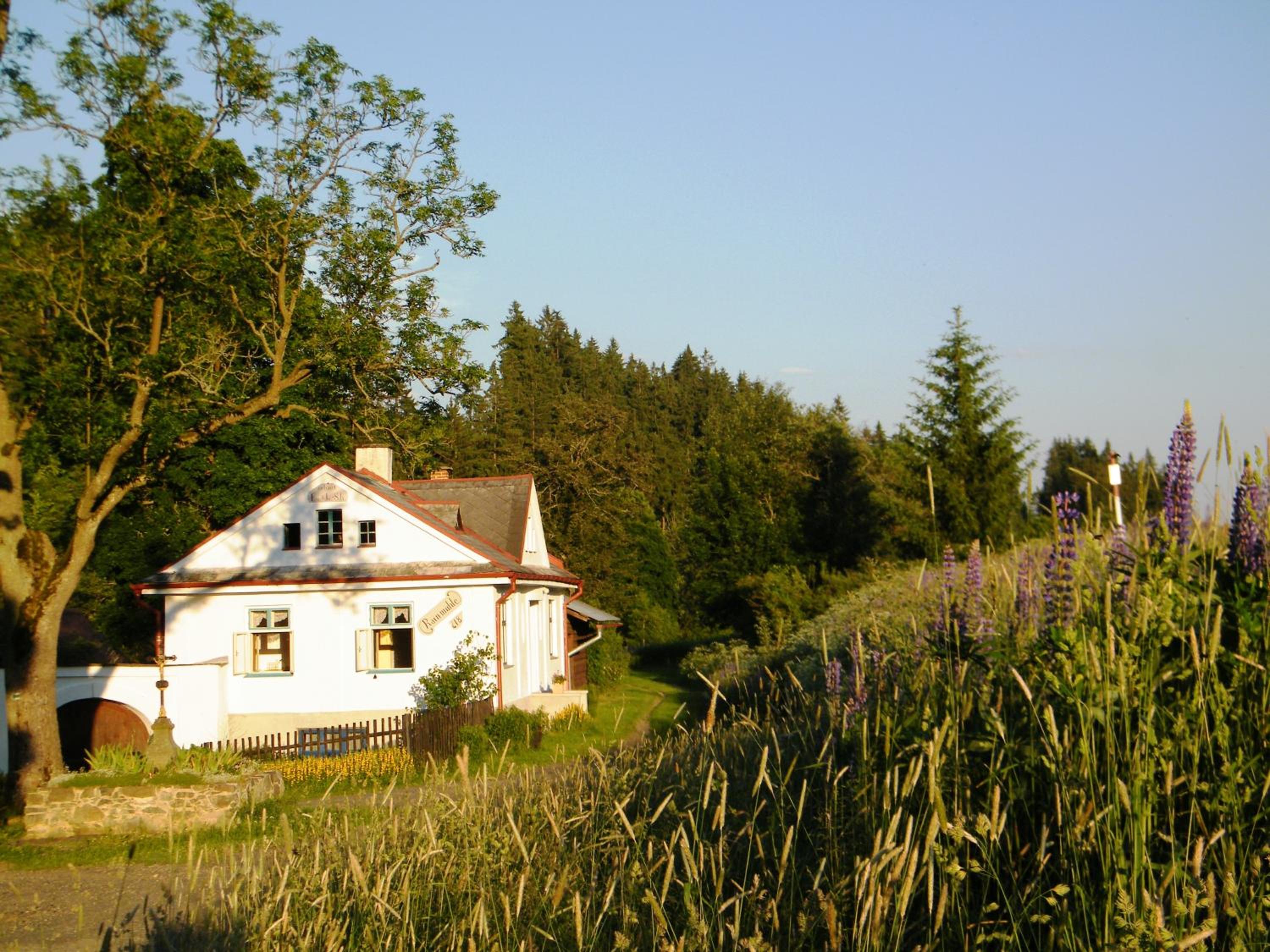 Vacation Home photo 3