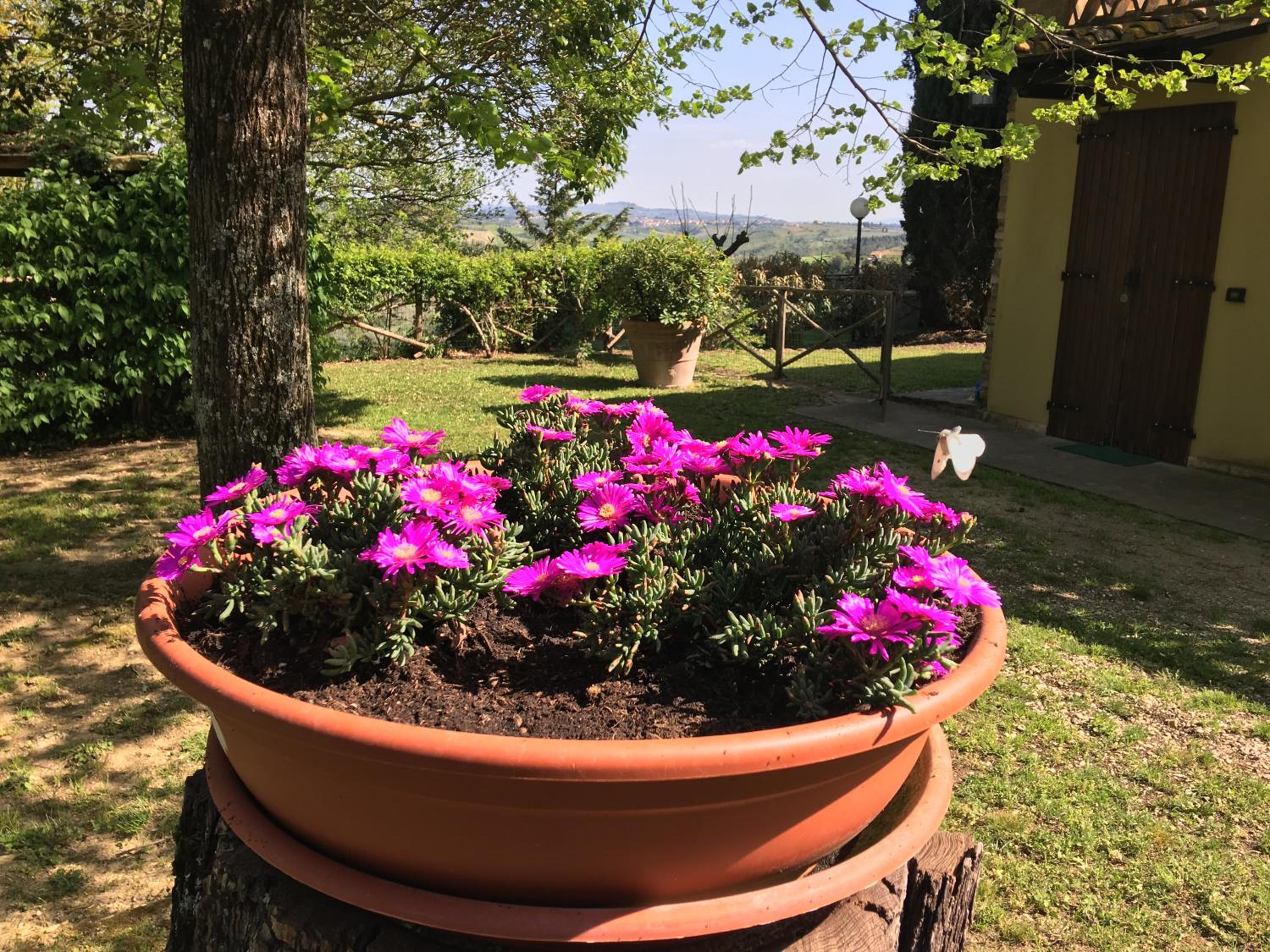 Apartment with Private Garden