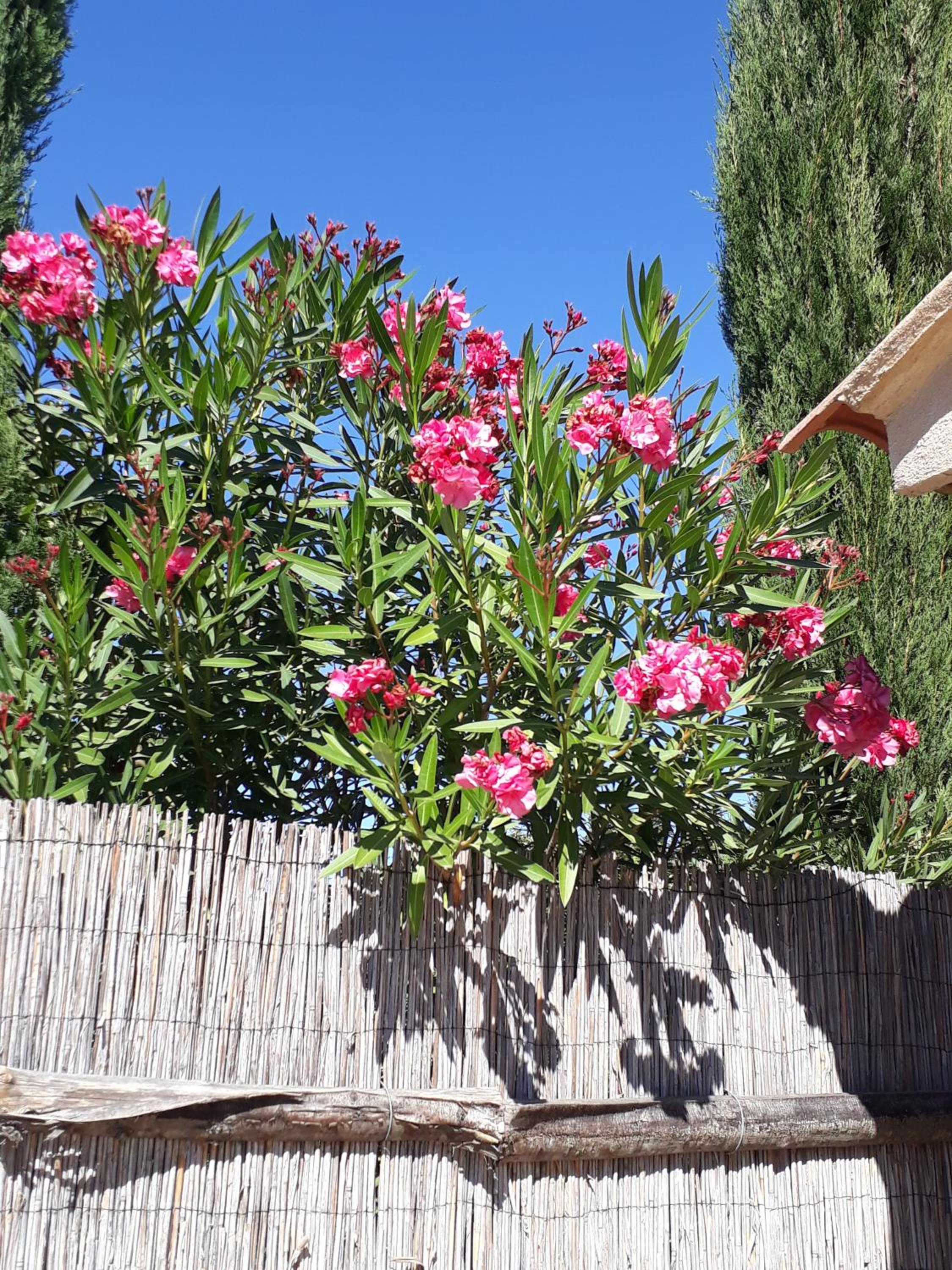 Holiday Home - Photo 30