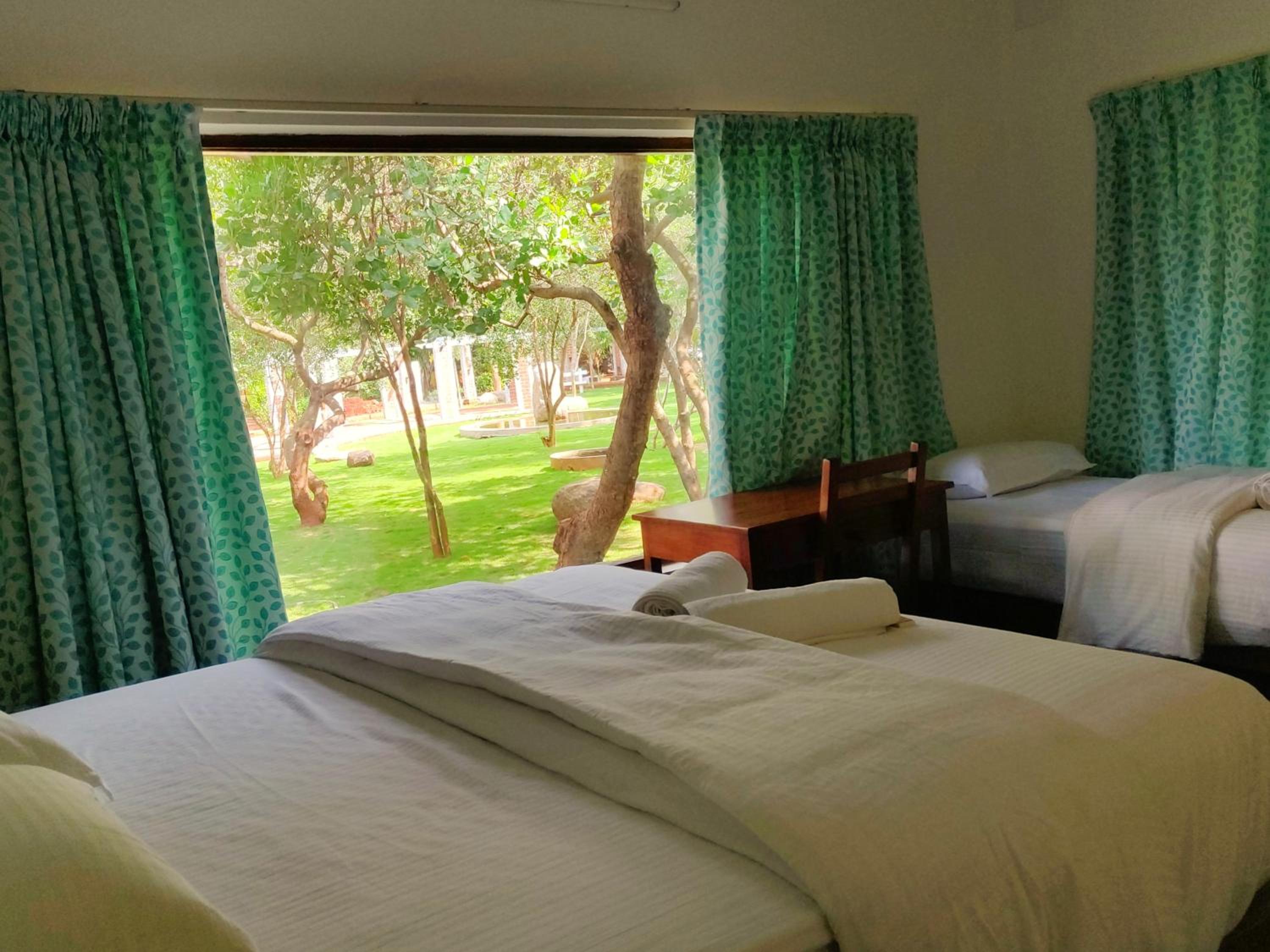 King Room with Garden View photo 1