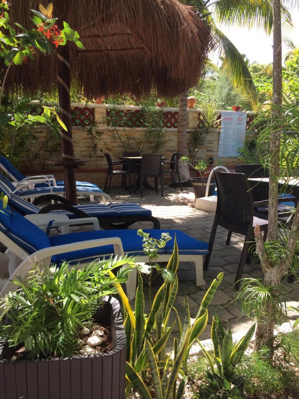 Junior Suite Café - Photo 16