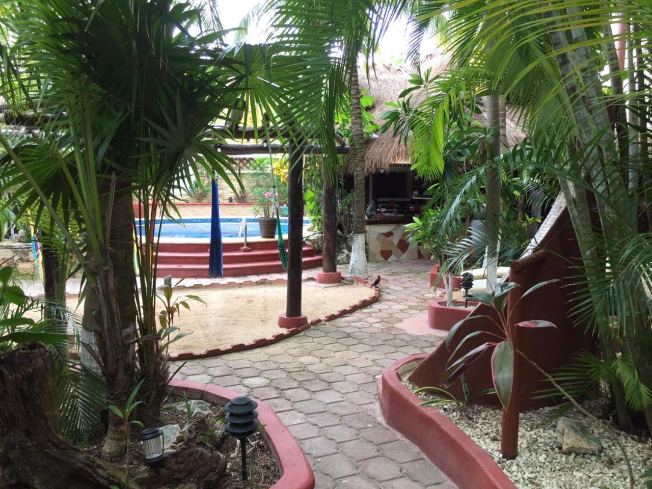 Queen Suite Morada - Photo 7