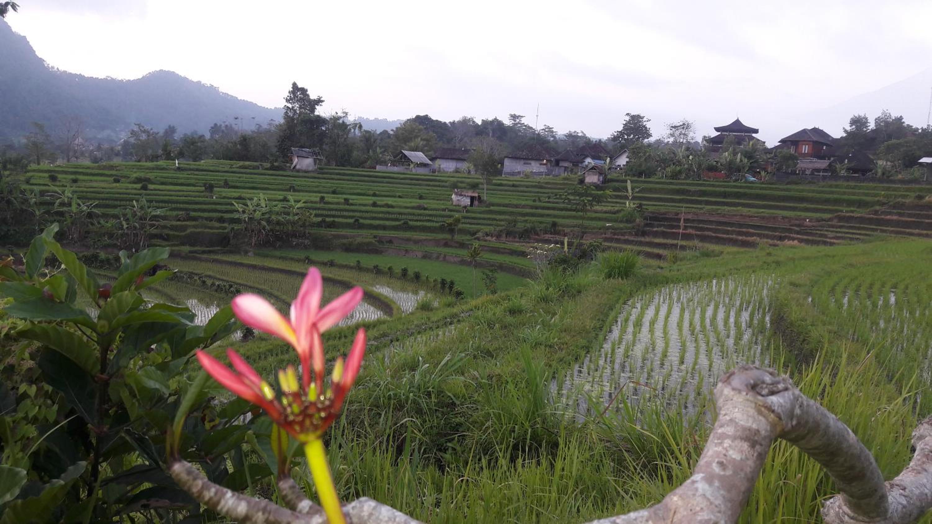 Bungalow with Garden View - Photo 27