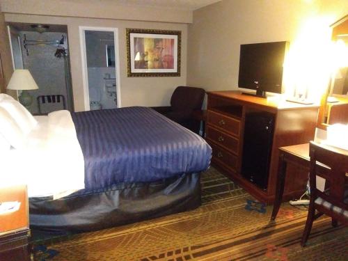 King Room - Non-Smoking photo 2