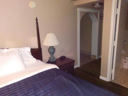Deluxe King Suite photo 1