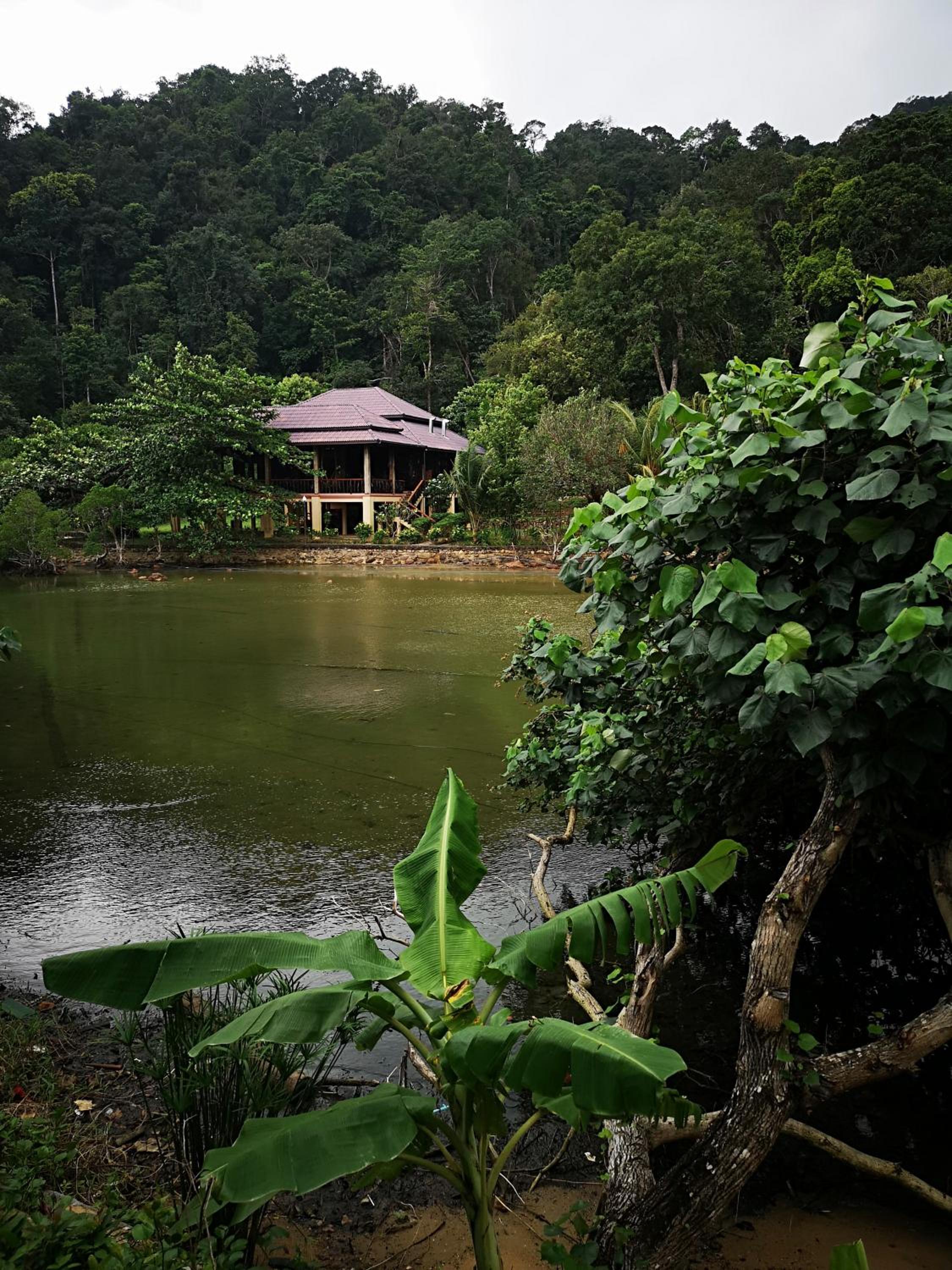 Family Bungalow - Photo 22