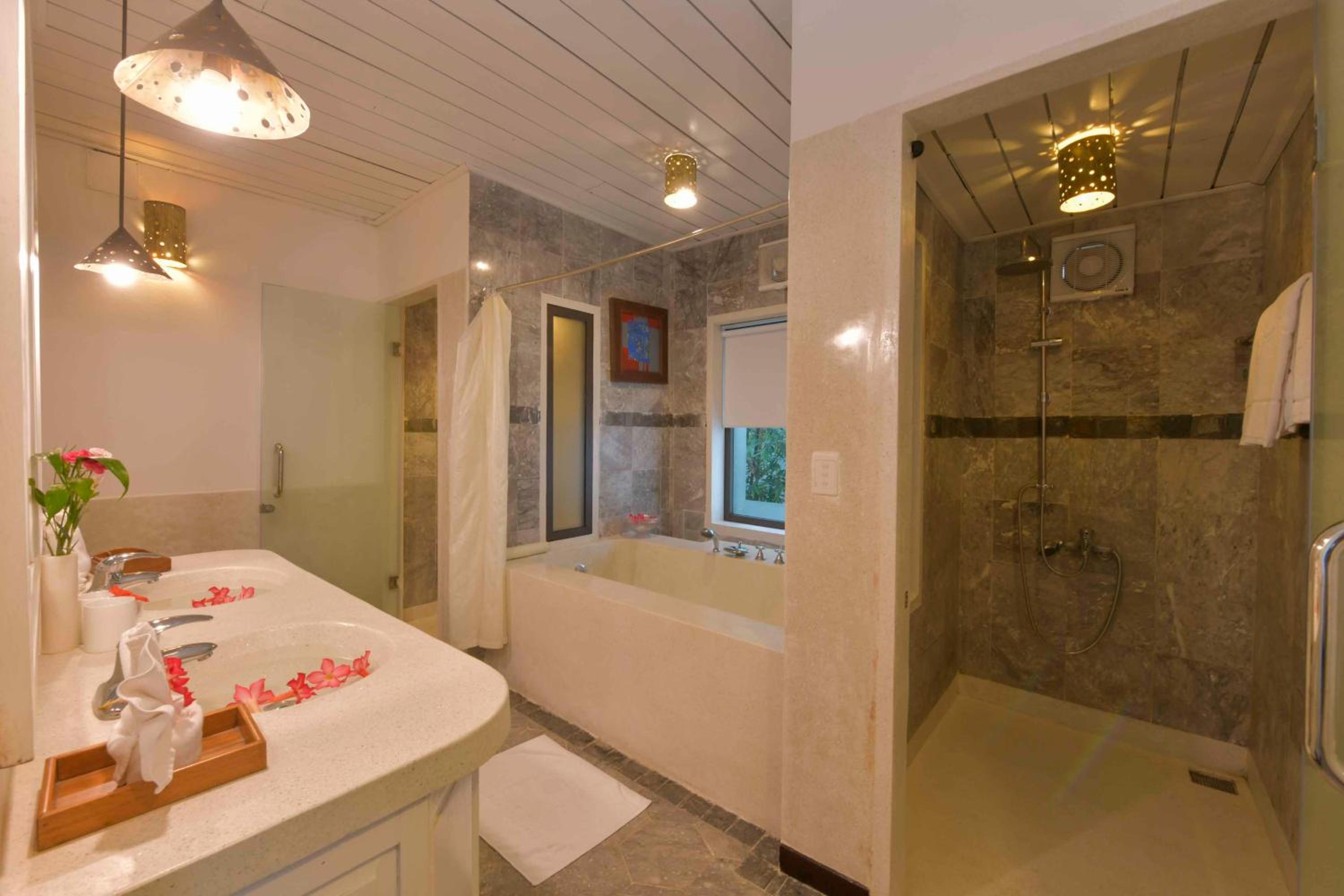 Suite - Photo 5