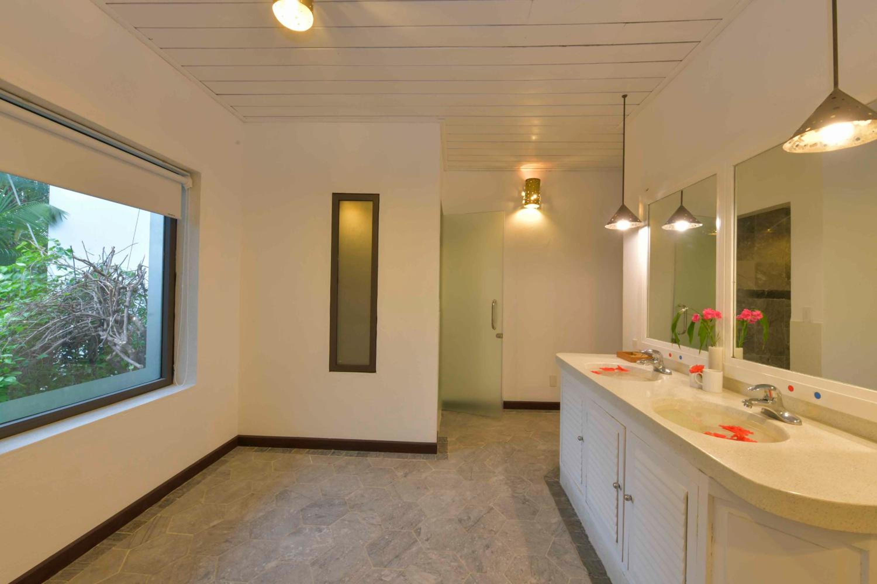 Suite - Photo 2