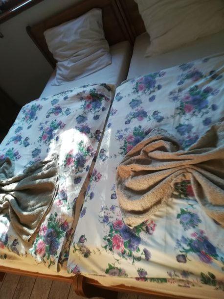 Double or Twin Room - Photo 5