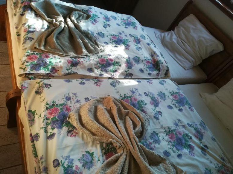 Double or Twin Room - Photo 6