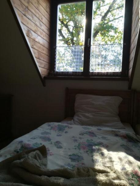 Double or Twin Room - Photo 15