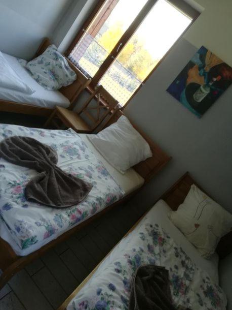 Triple Room - Photo 15
