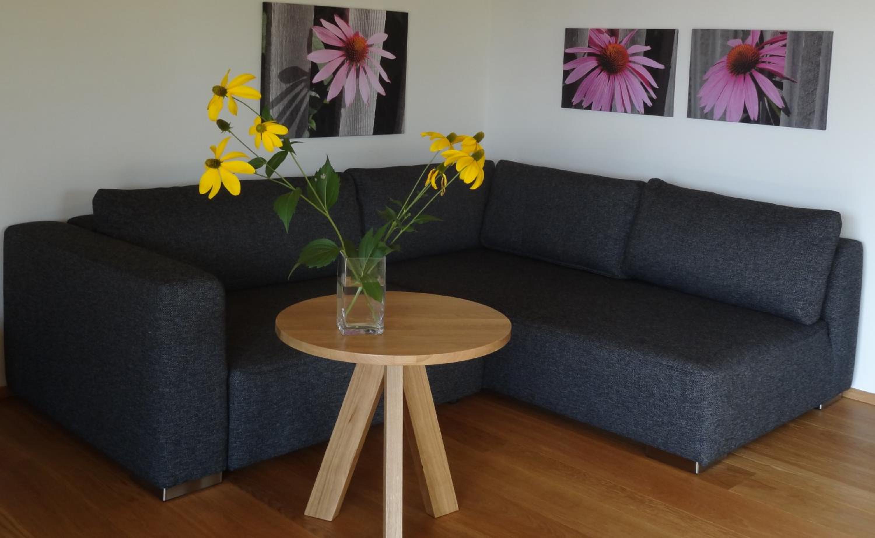 Apartment with Terrace photo 2