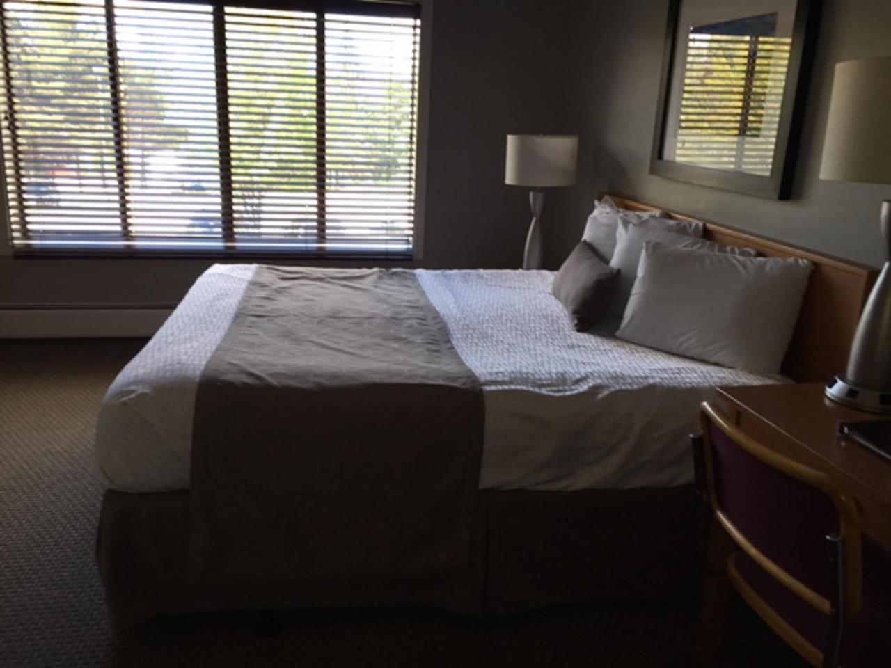 Standard King Room - Photo 1