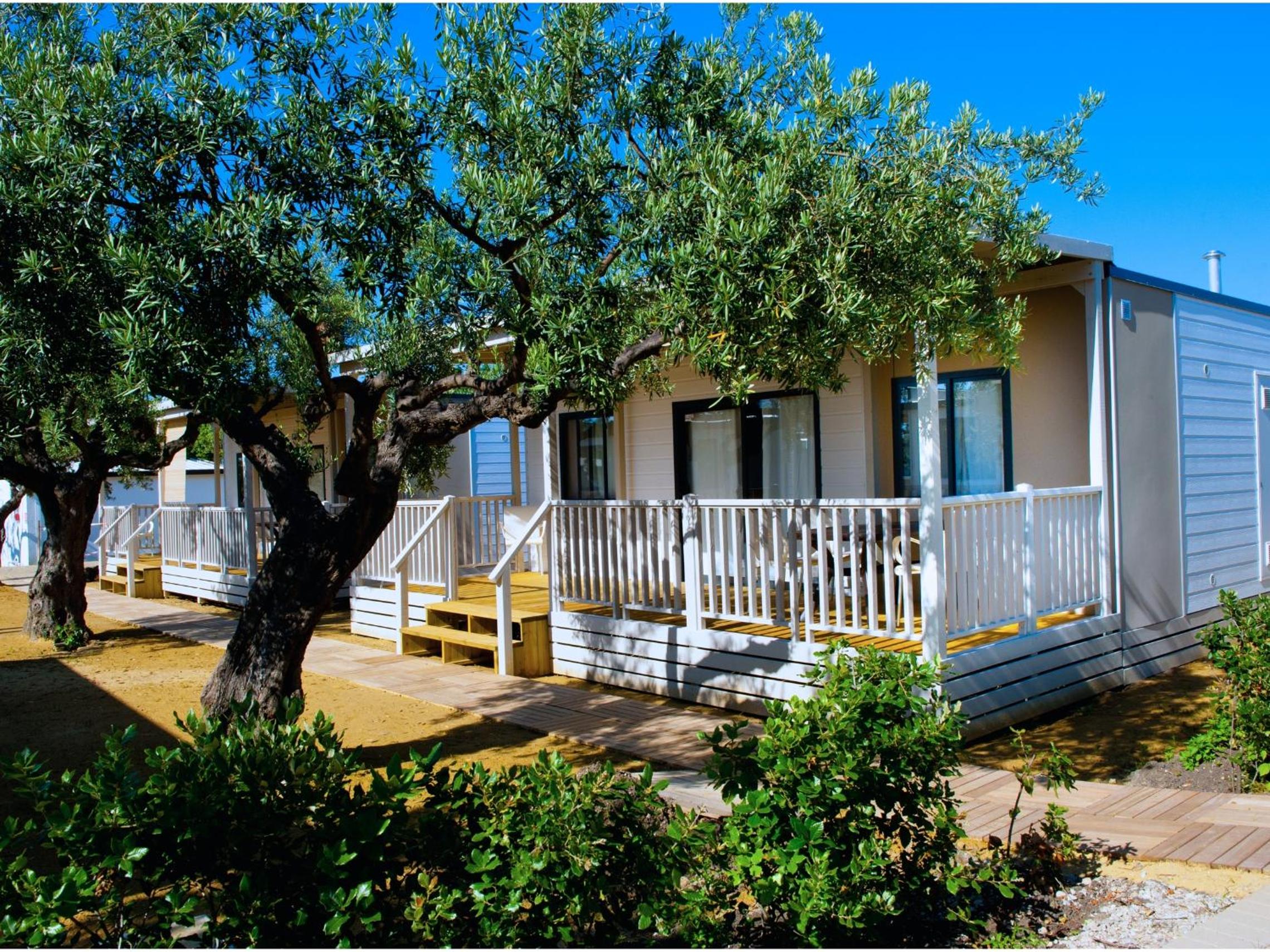 Mobile Home photo 1