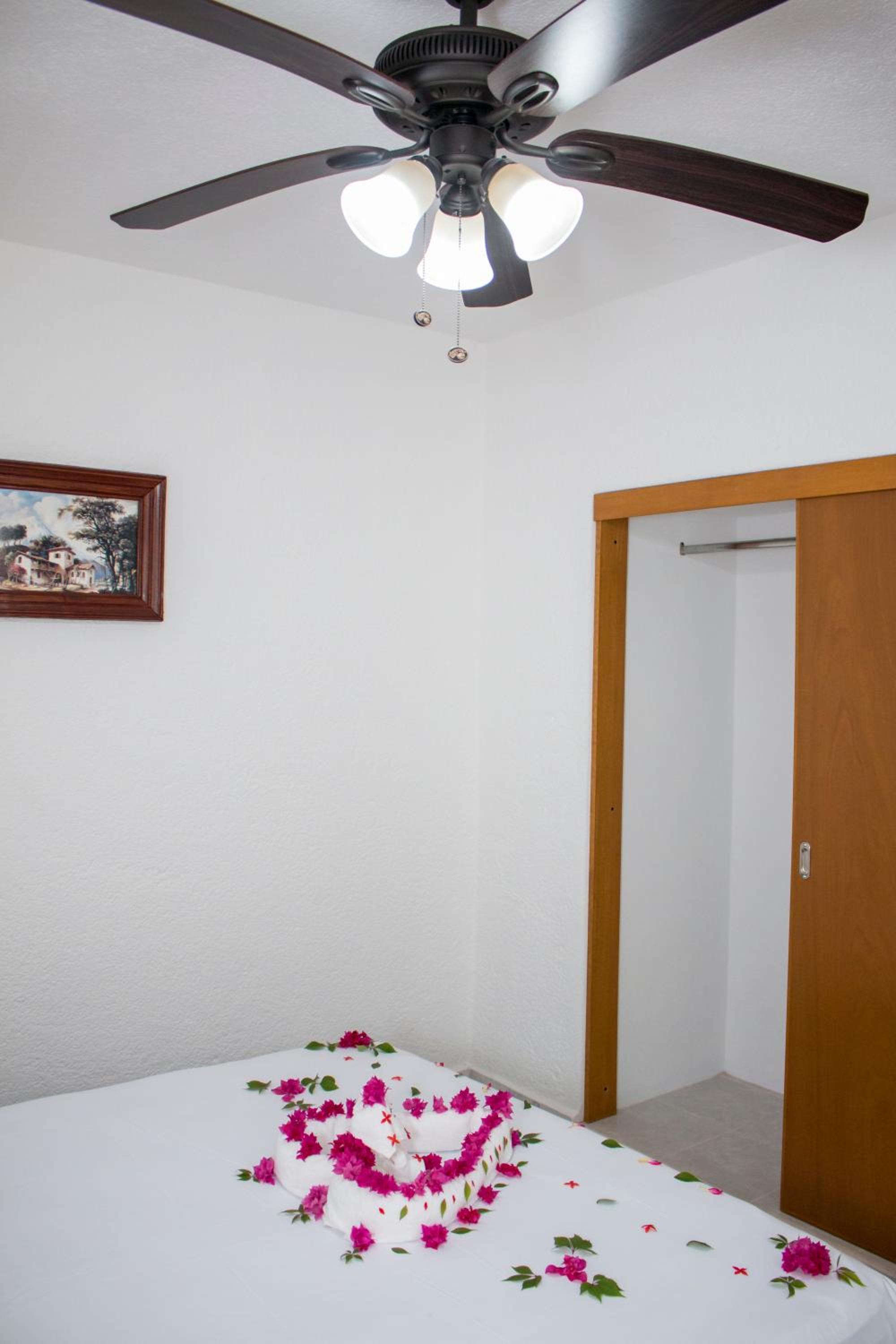 Apartment - Photo 6