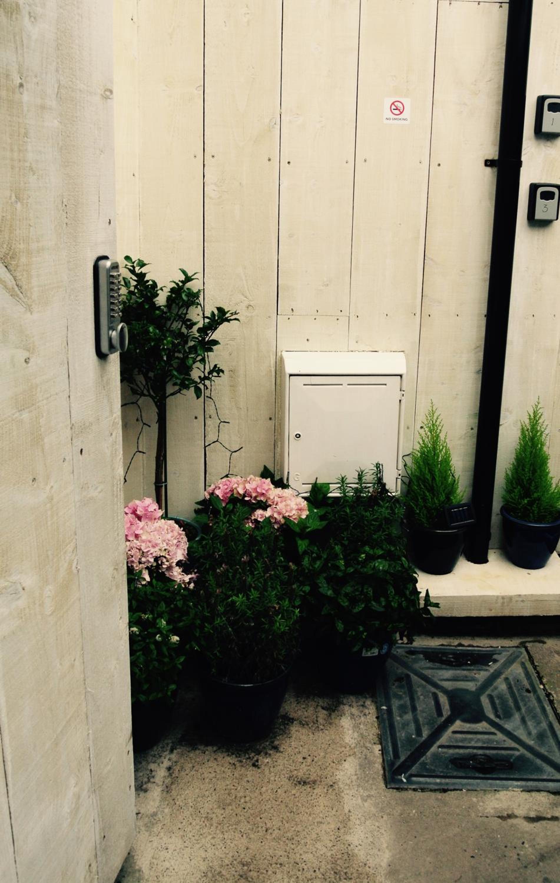 Suite - Photo 14