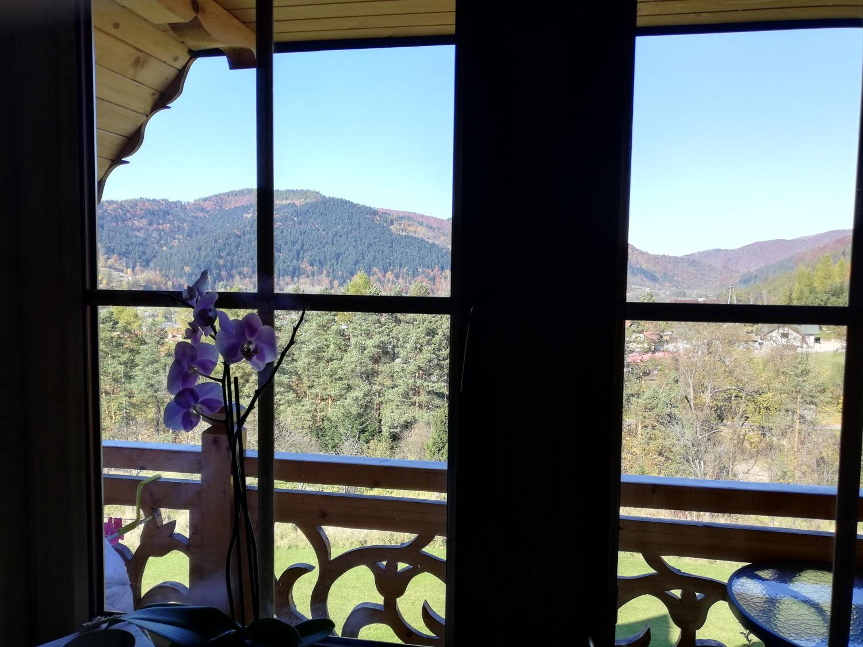 Double Room with Mountain View photo 1