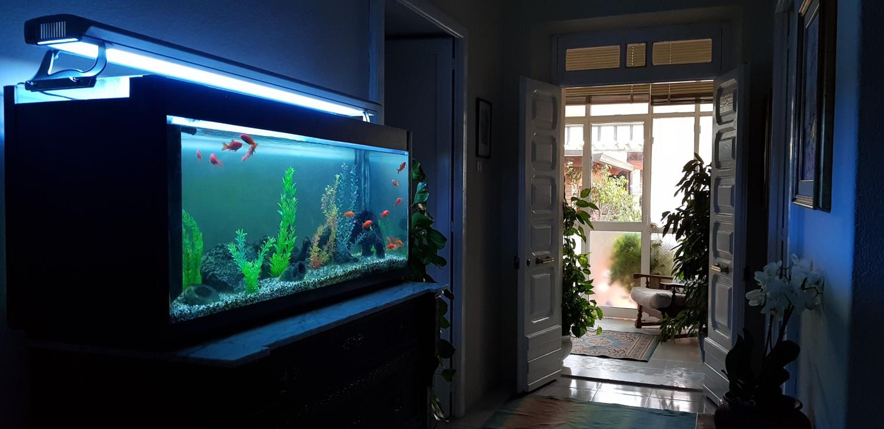 Vacation Home - Photo 3