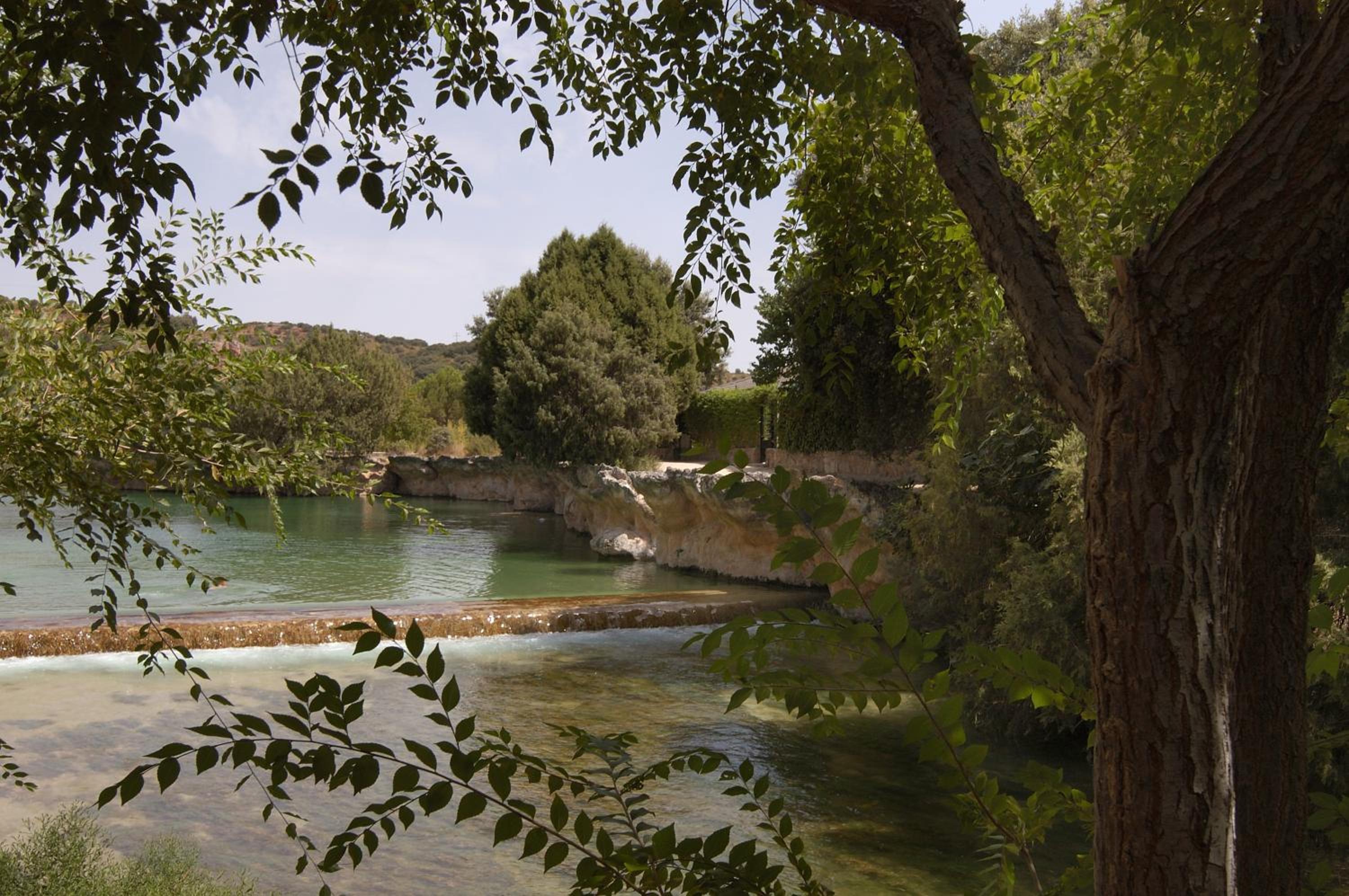 Estudio La Laguna (2 Adults + 1 Child) - Photo 3