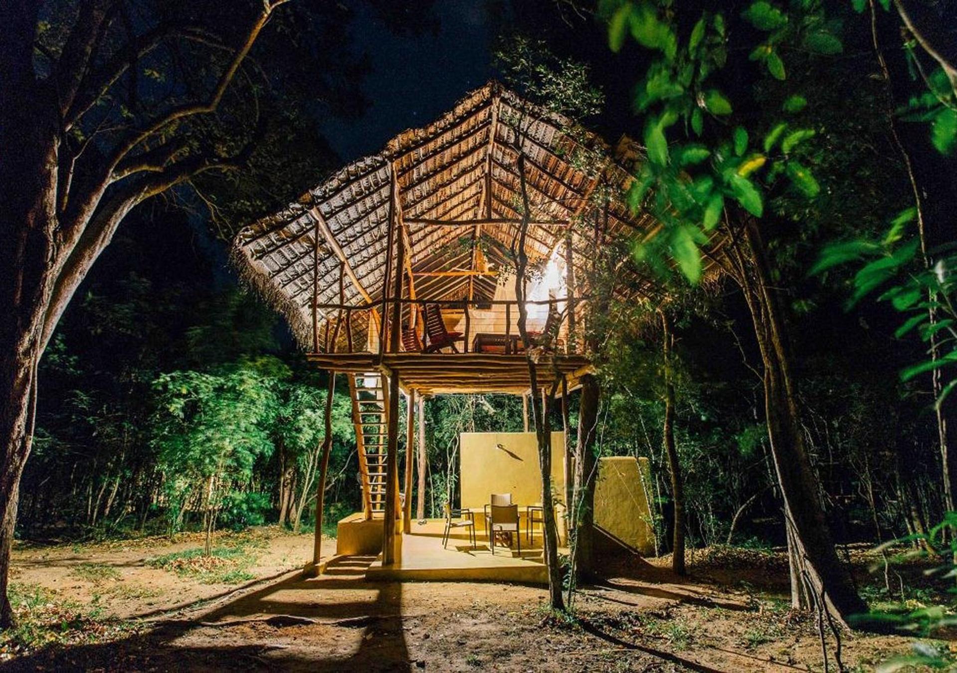 Quadruple Tree House photo 1