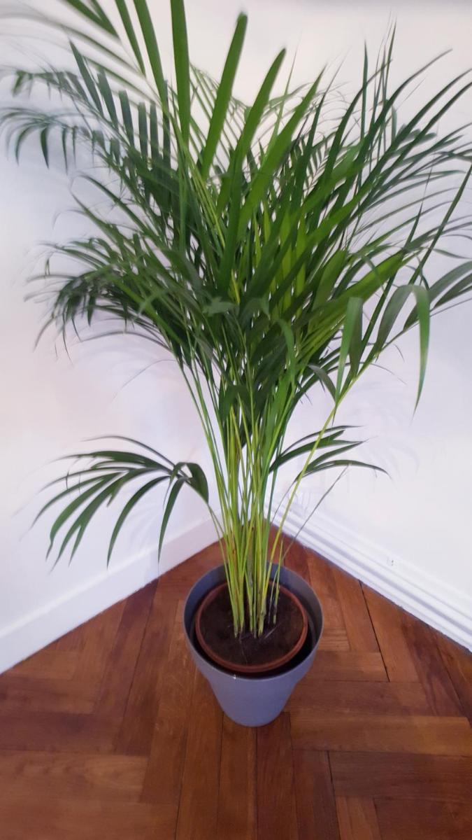 Apartment - Photo 10