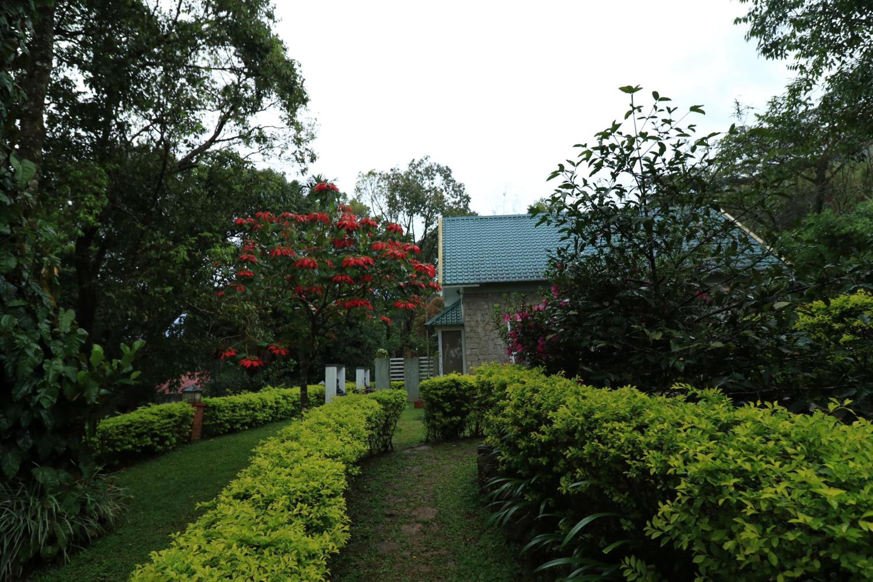 Colonial Cottage - Photo 11